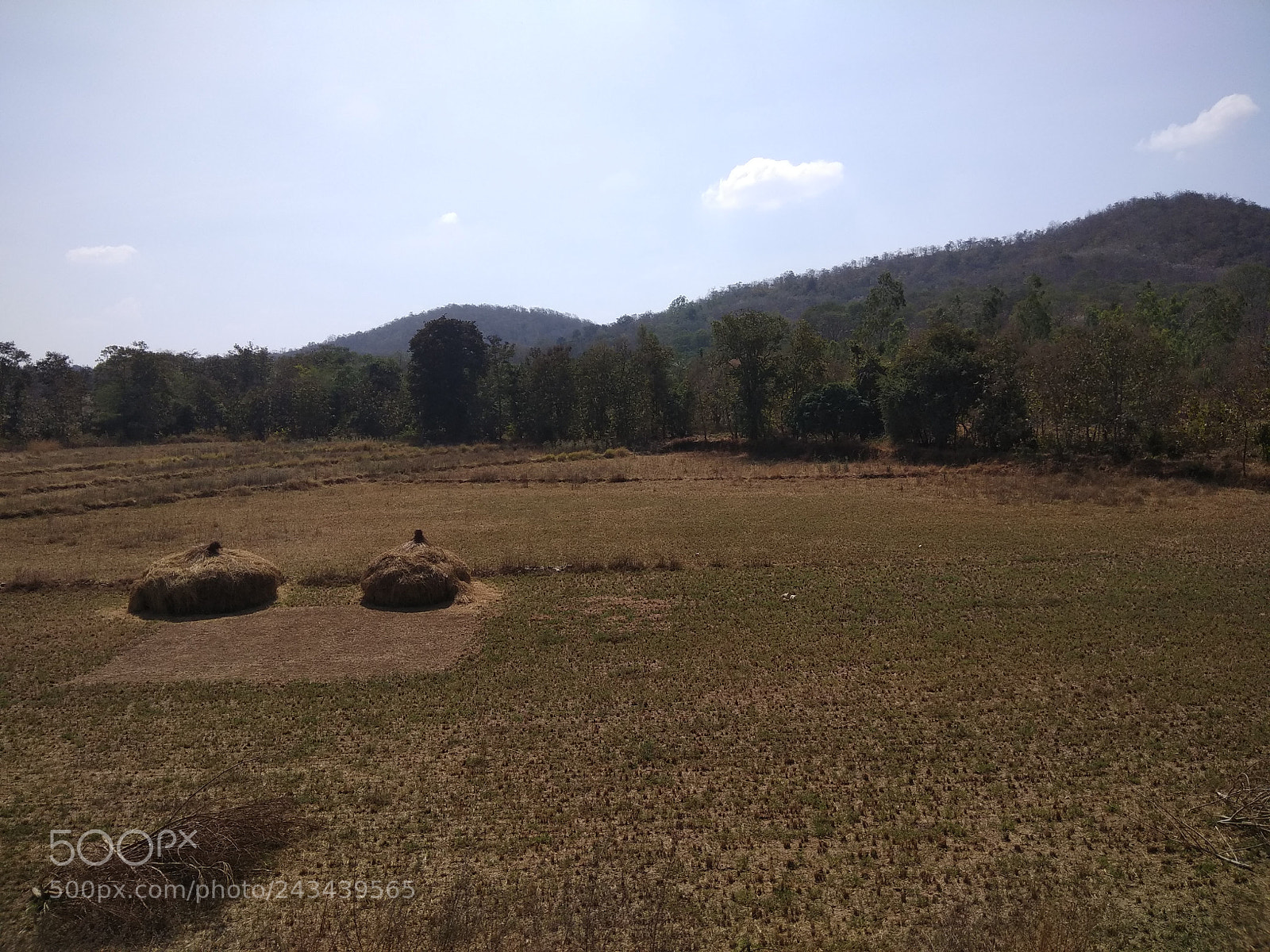 Xiaomi Redmi Note 4 sample photo. Img_20180111_123302.jpg photography