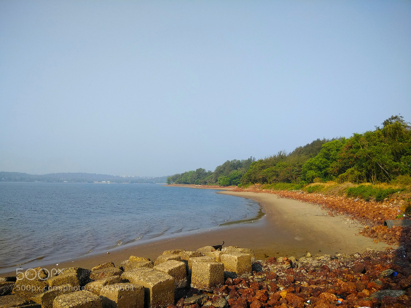 Xiaomi Redmi Note 4 sample photo. Img_20180122_191314.jpg photography
