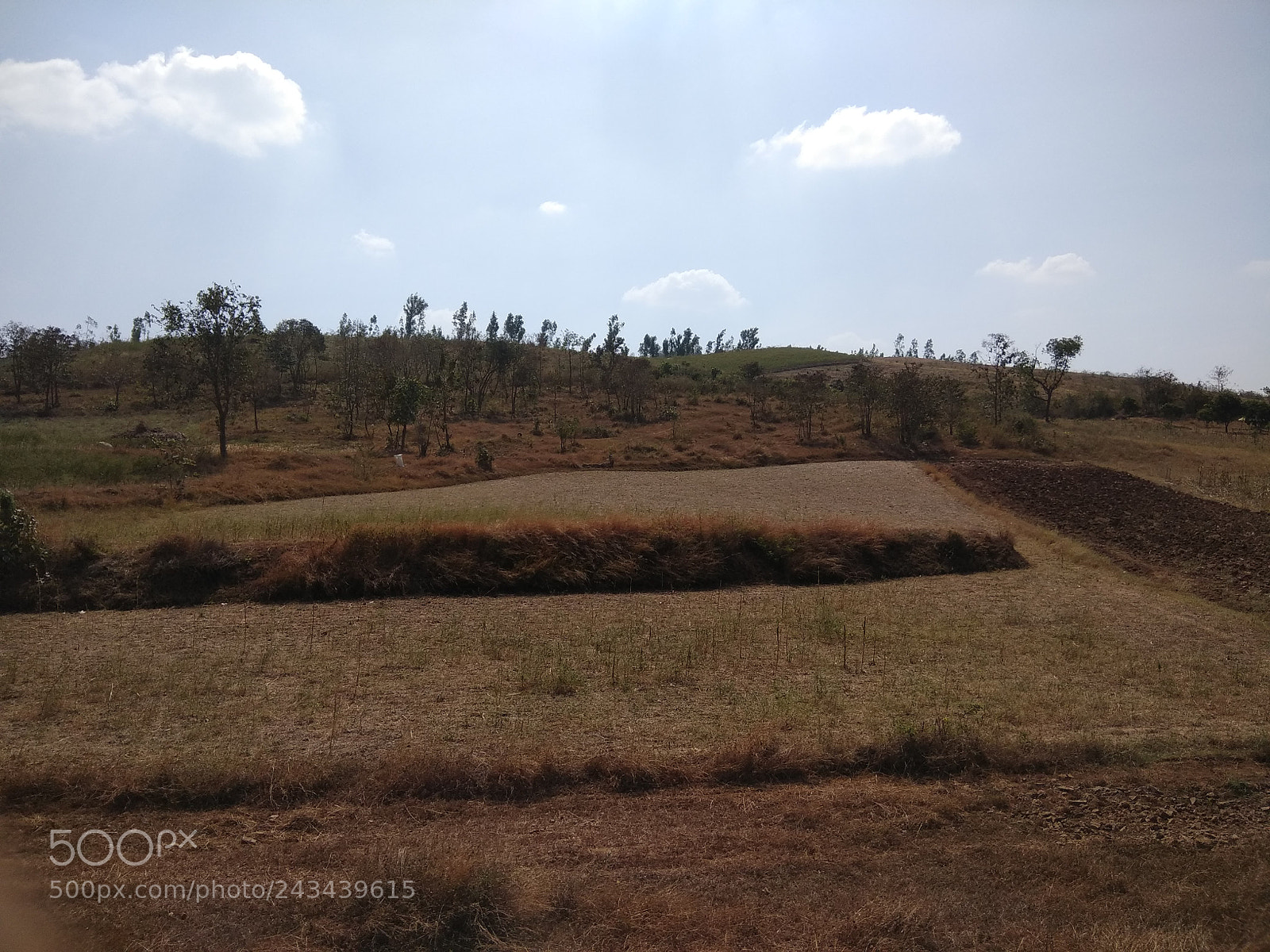 Xiaomi Redmi Note 4 sample photo. Img_20180111_123706.jpg photography