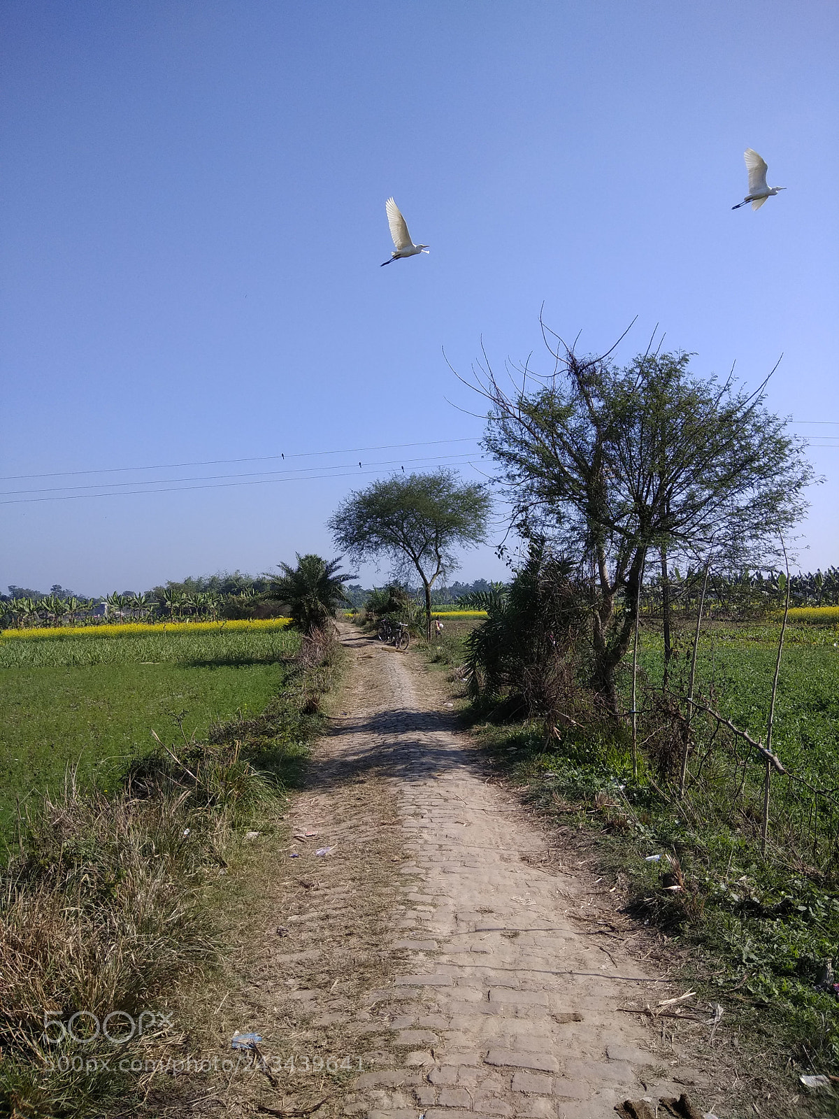 Xiaomi Redmi Note 4 sample photo. Img_20180106_104409.jpg photography