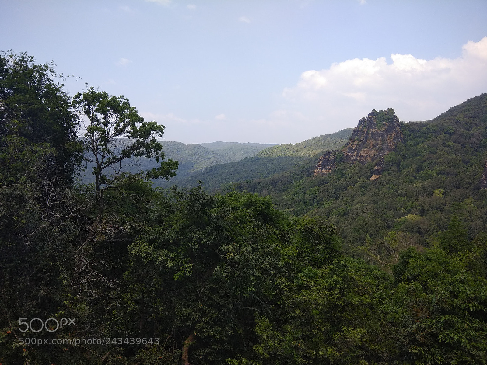 Xiaomi Redmi Note 4 sample photo. Img_20180111_145334.jpg photography