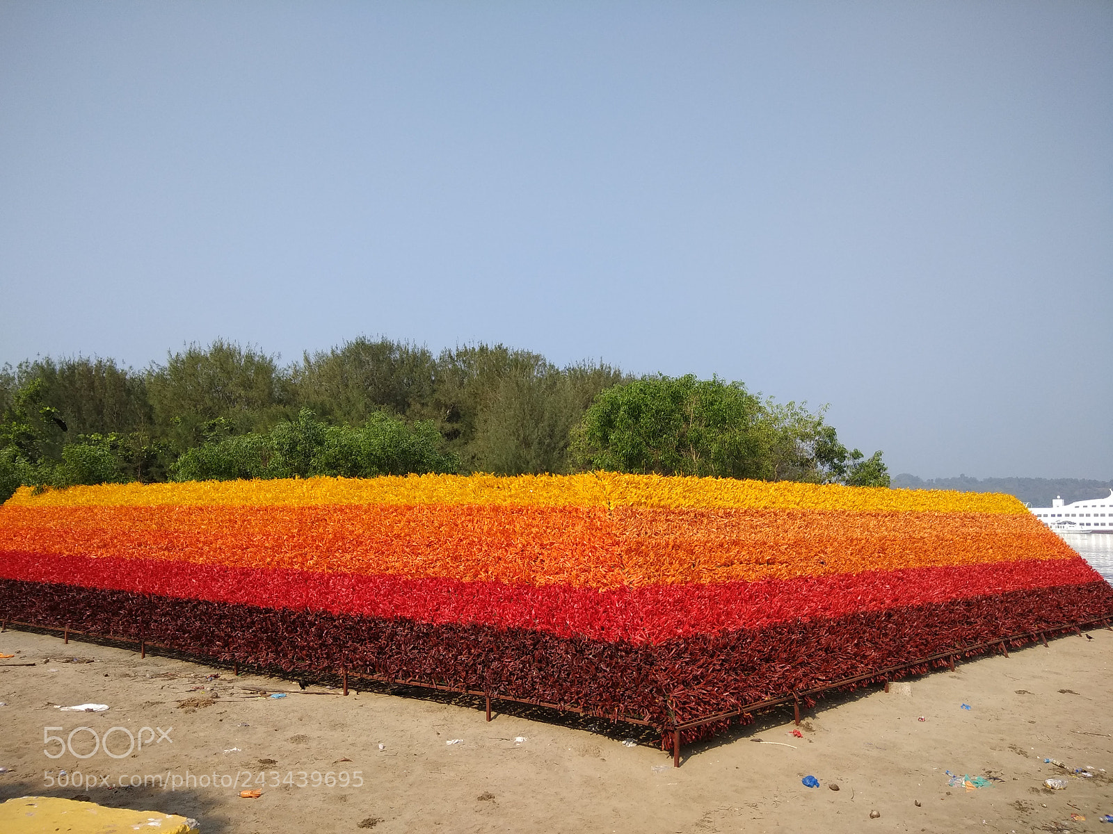 Xiaomi Redmi Note 4 sample photo. Img_20180113_102344.jpg photography