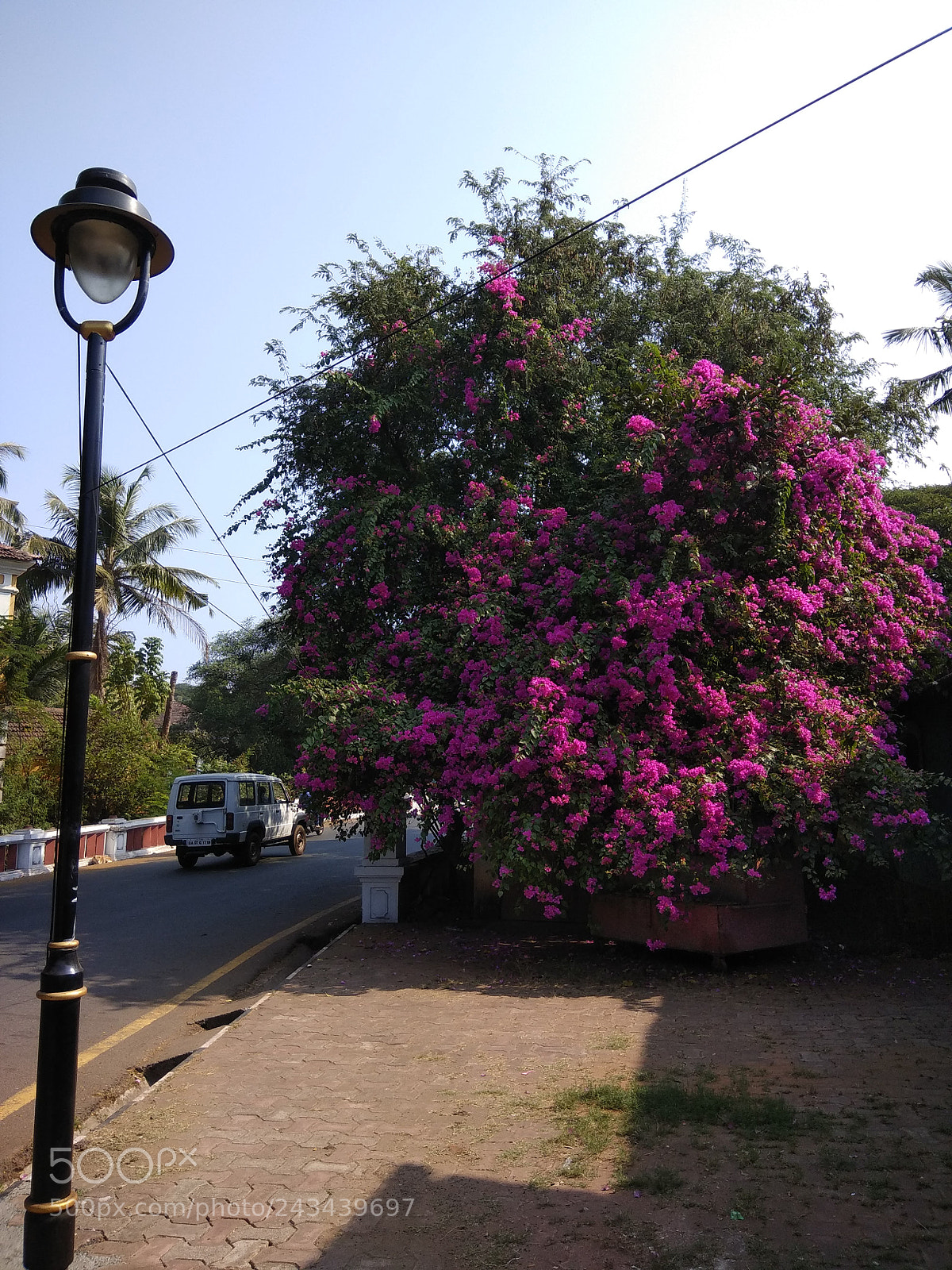 Xiaomi Redmi Note 4 sample photo. Img_20180112_110206.jpg photography