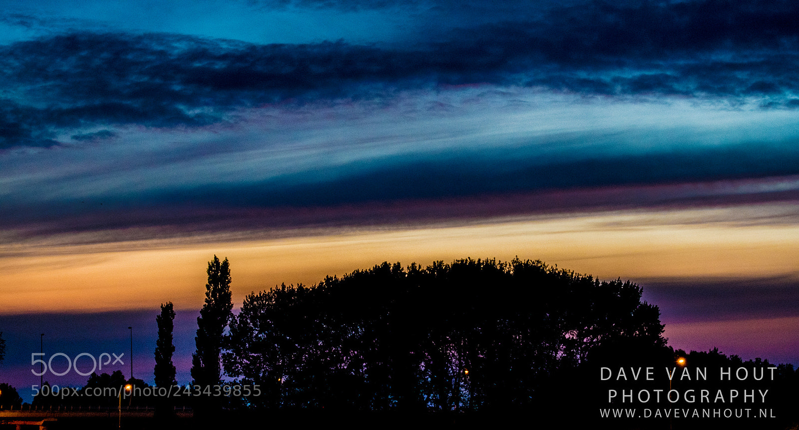 Nikon D500 sample photo. Festival the brave photography