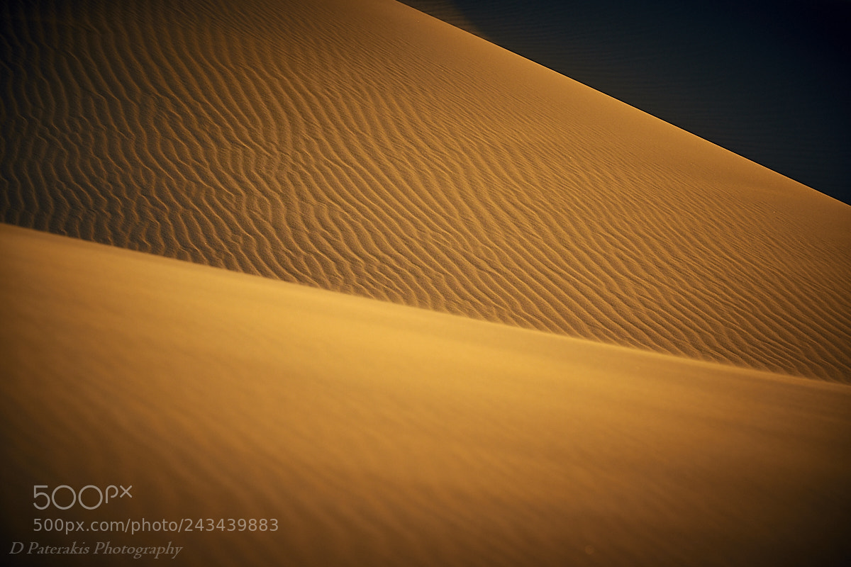 Fujifilm X-T1 sample photo. Golden light photography