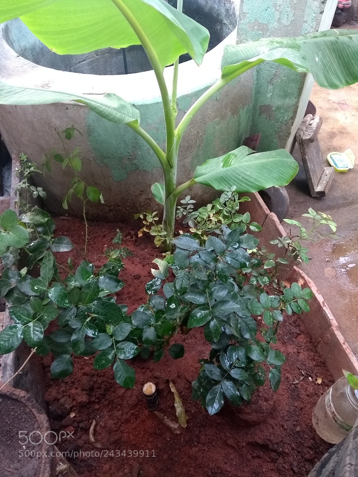 Motorola Moto G (5th Gen) sample photo. Untitled photography