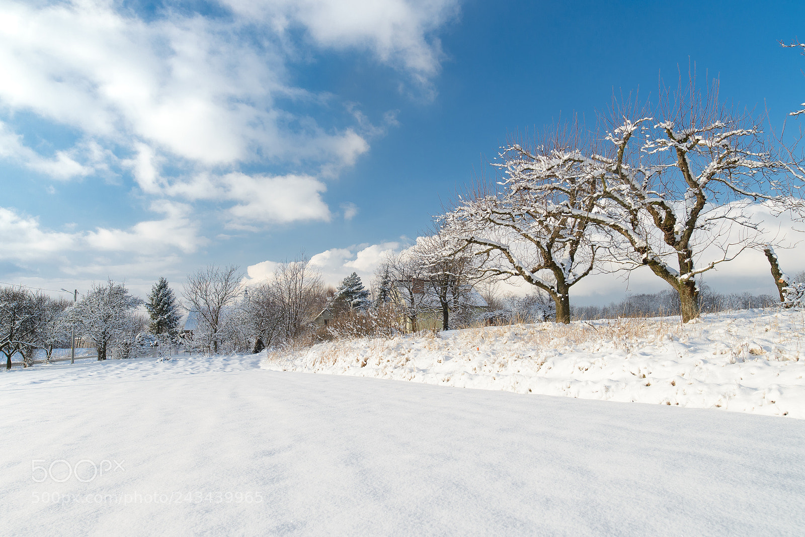 Nikon D600 sample photo. Dreamland photography