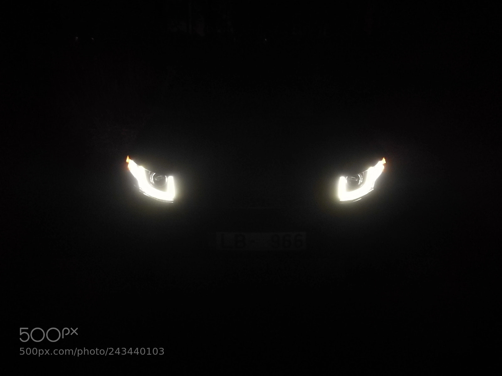 HUAWEI Mate 9 Pro sample photo. Cat eyes photography