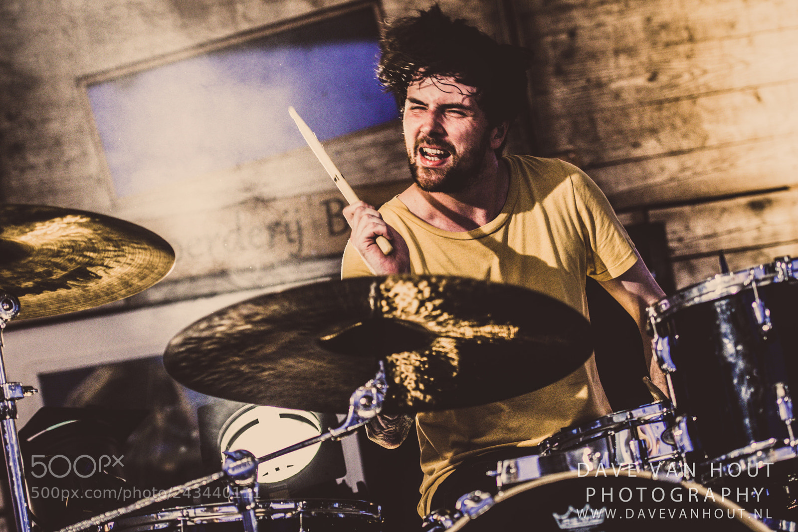 Nikon D500 sample photo. Festival the brave photography