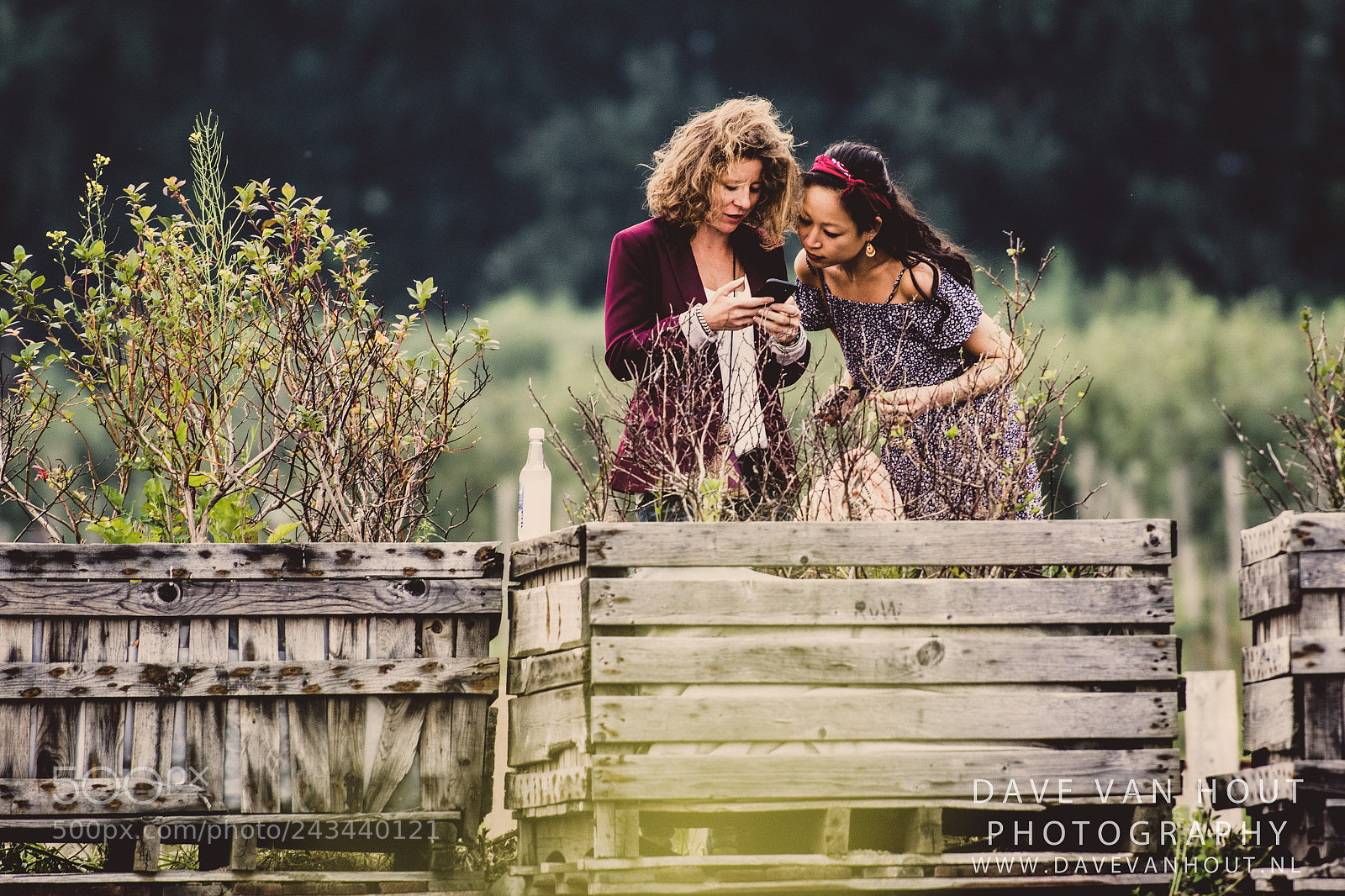 Nikon D500 sample photo. Festival the brave photography
