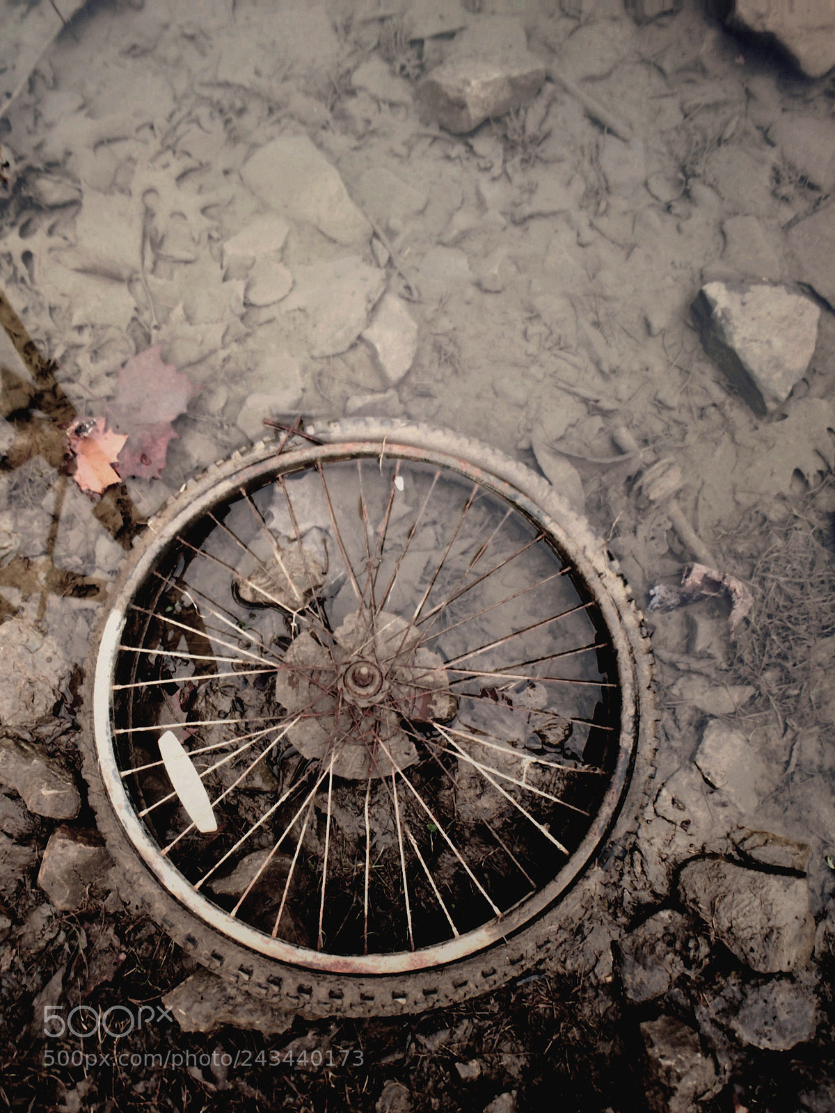 Apple iPhone 6 sample photo. Birth of a unicycle photography
