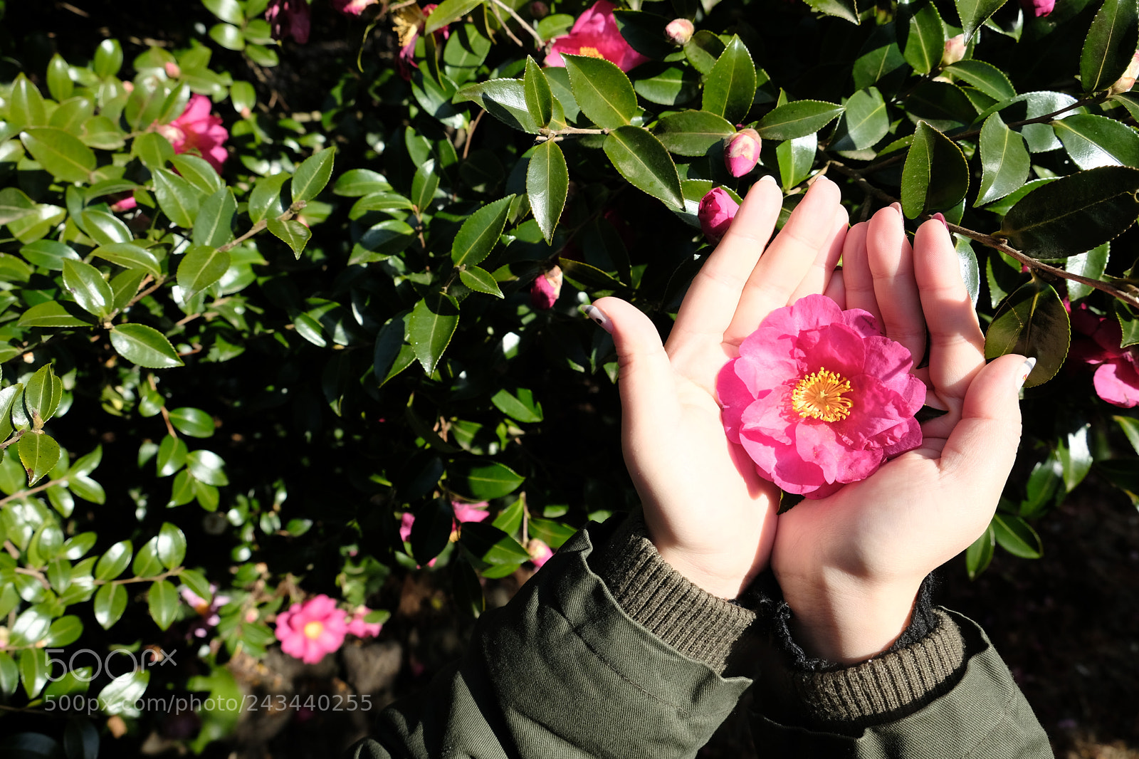 Fujifilm X-T2 sample photo. Untitled photography