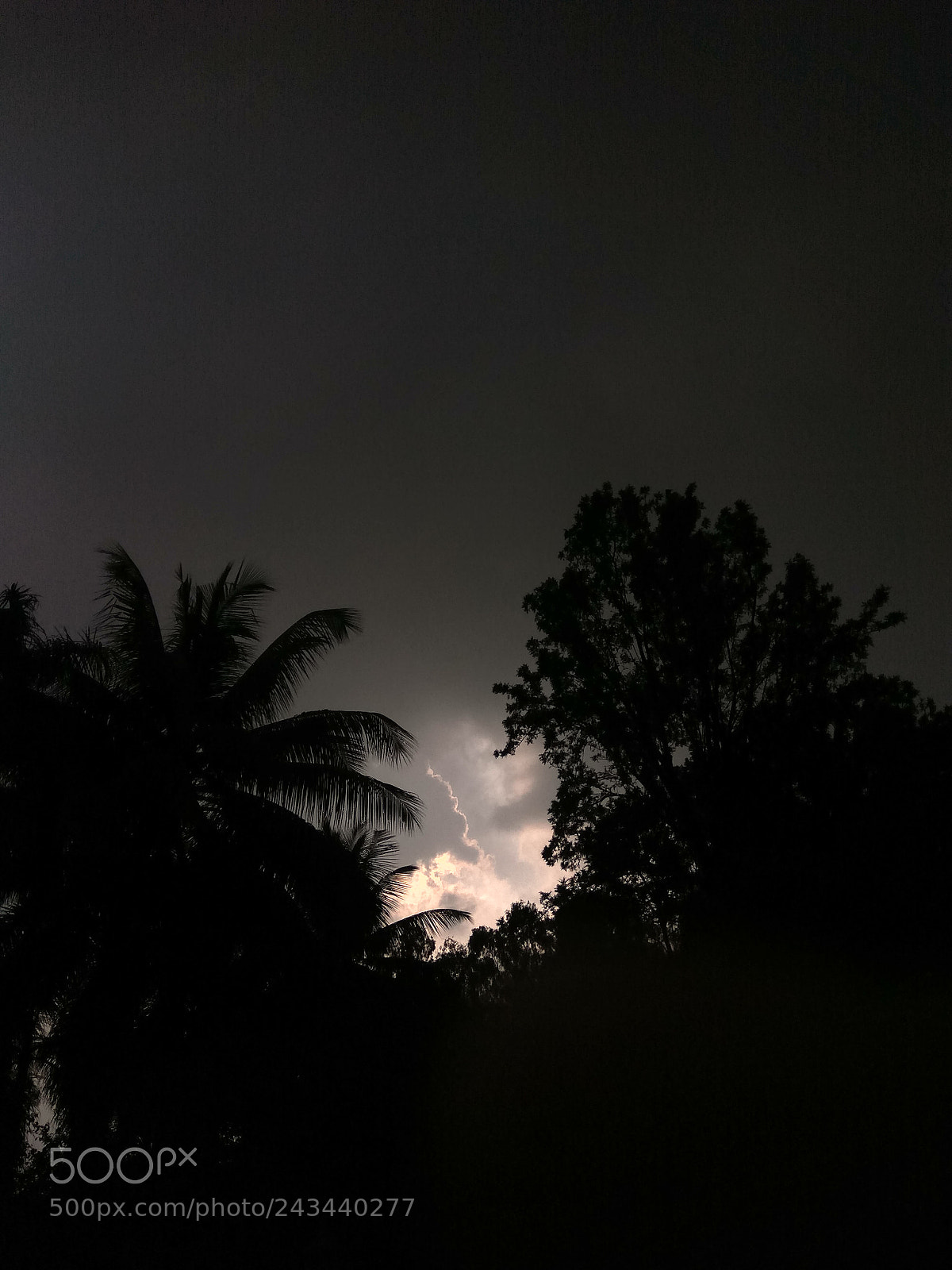 Xiaomi Redmi Note3 sample photo. A sliver of hope? photography