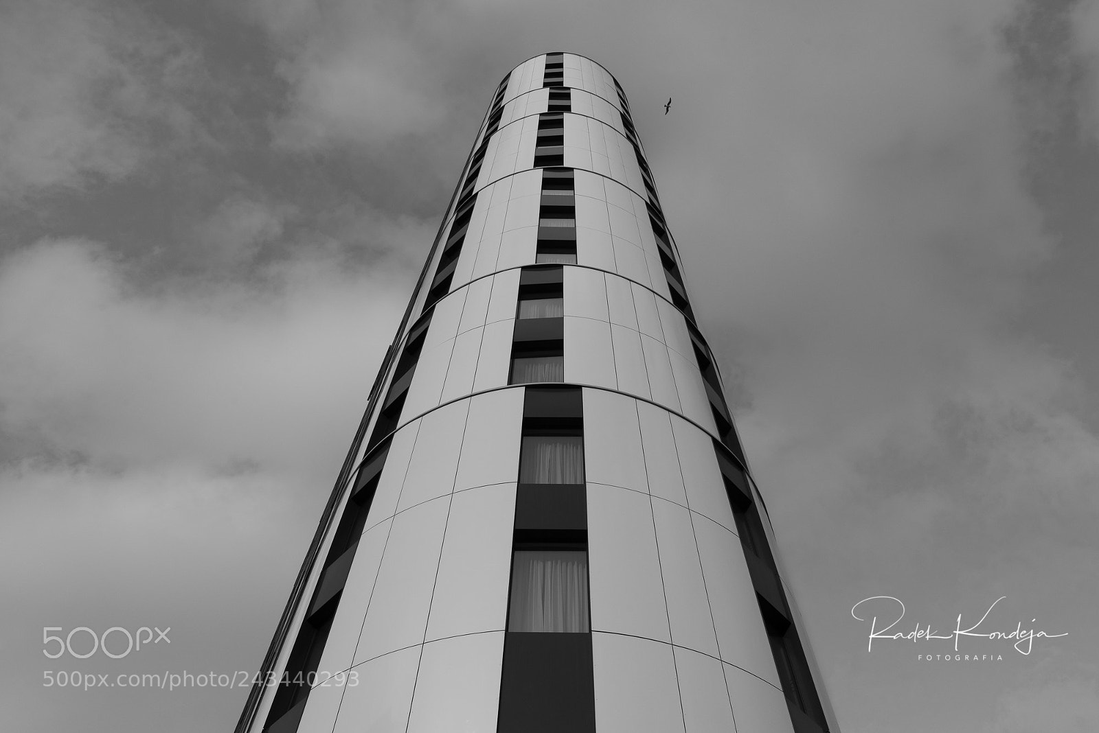 Nikon D810 sample photo. . photography