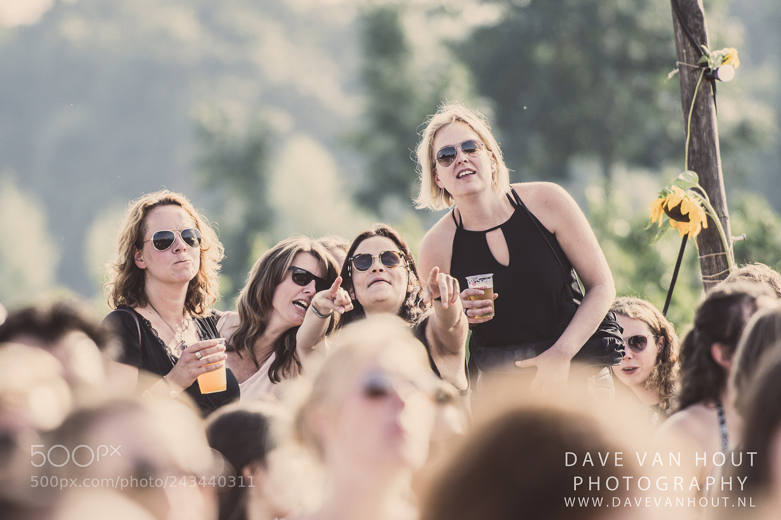 Nikon D500 sample photo. Festival the brave photography