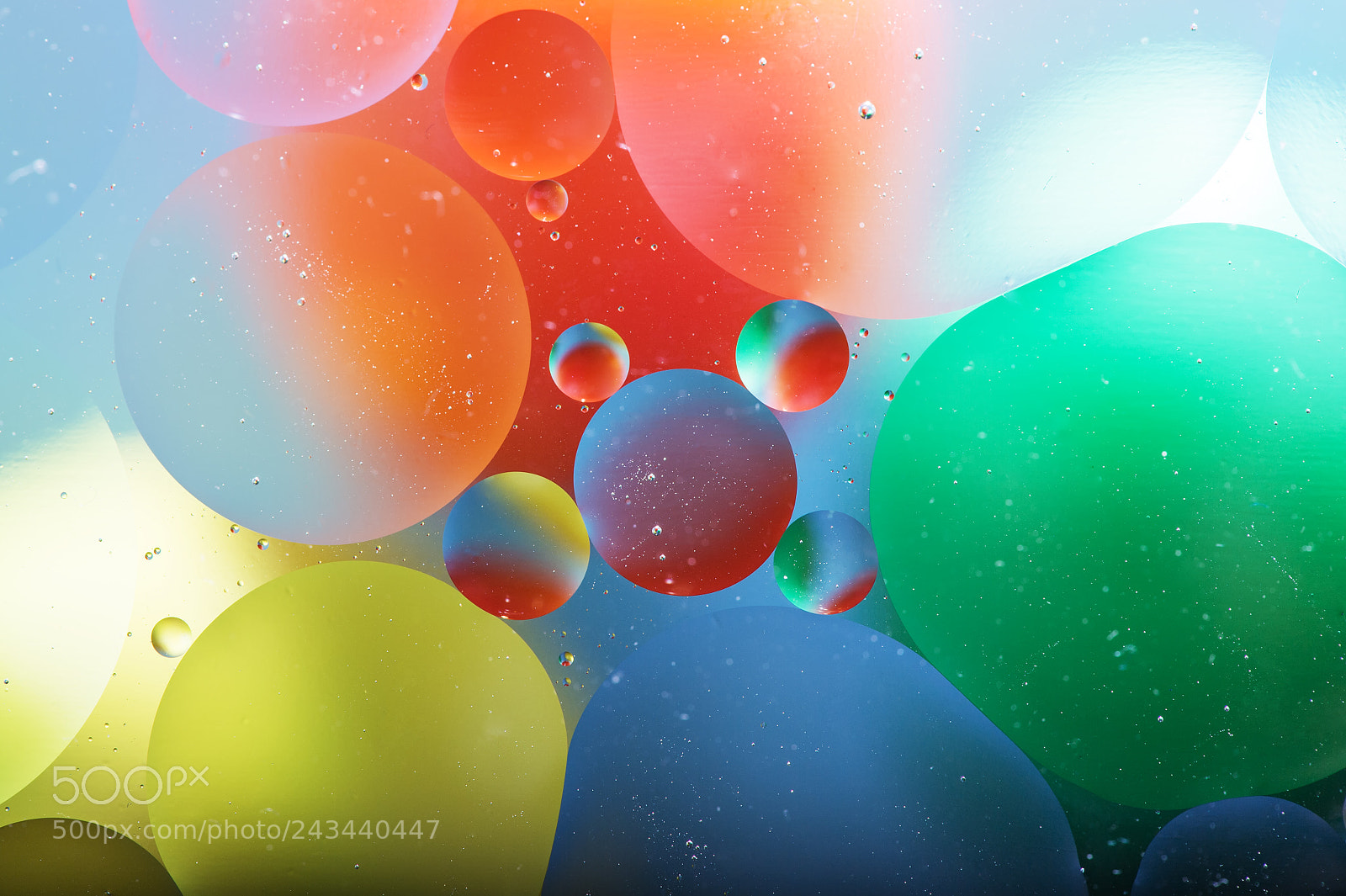 Nikon D4 sample photo. Farbe abstrakt photography