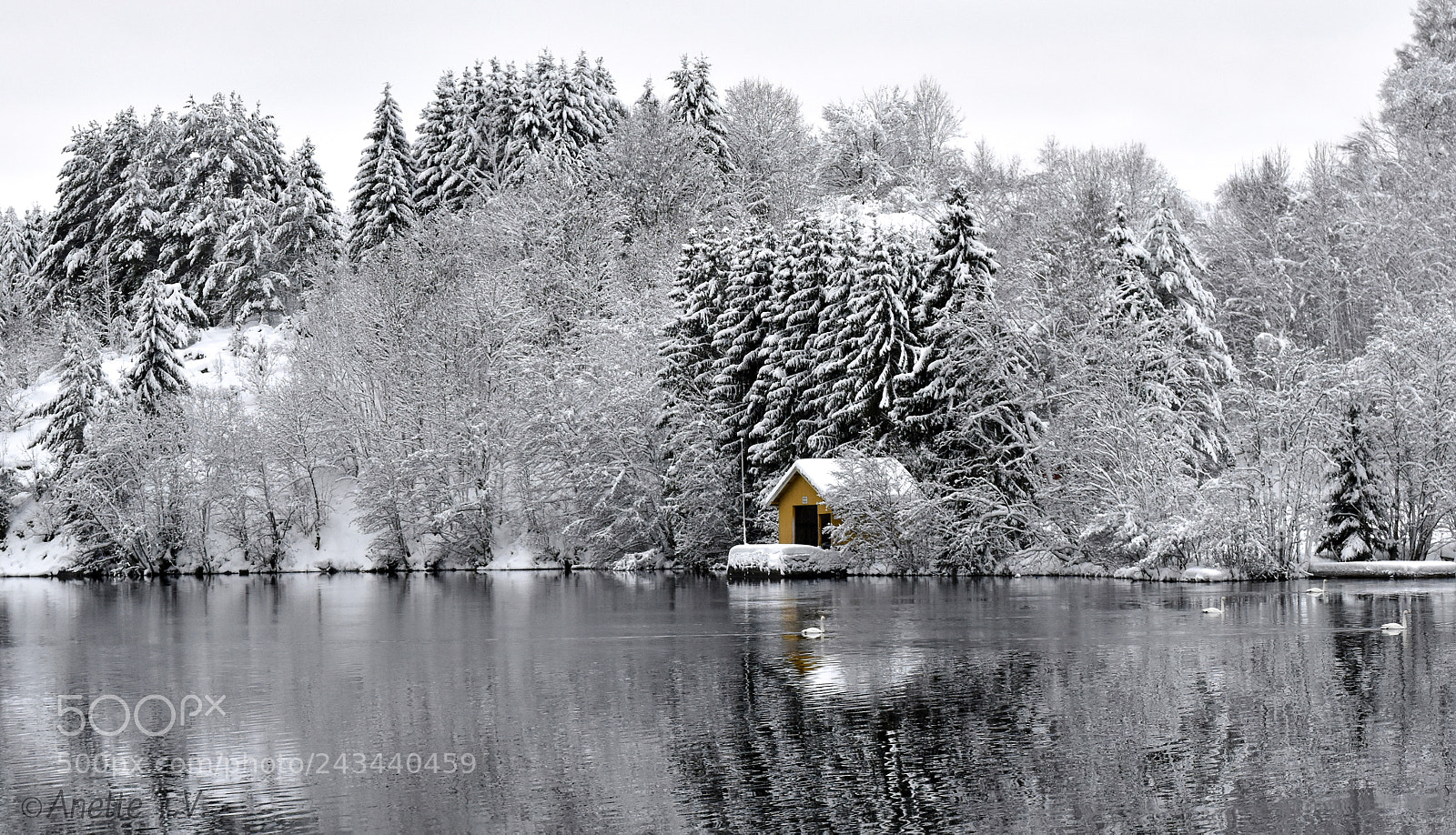 Nikon D5500 sample photo. Winter idyll... photography