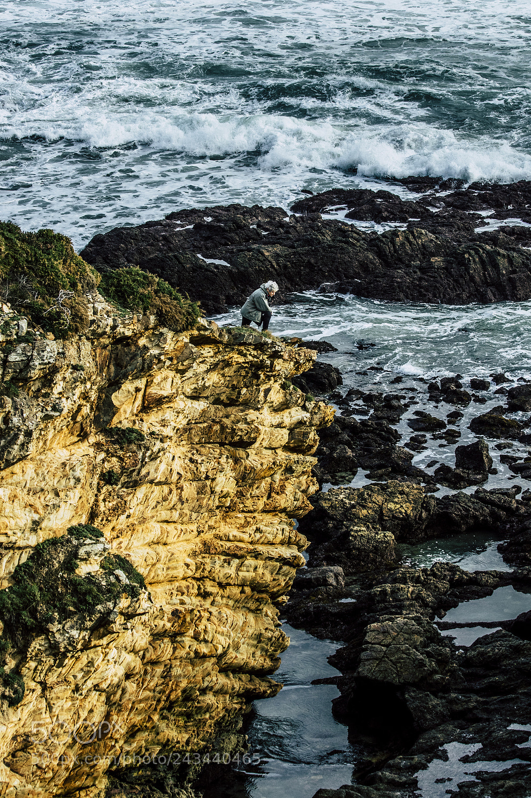 Canon EOS 7D Mark II sample photo. No crabs here photography