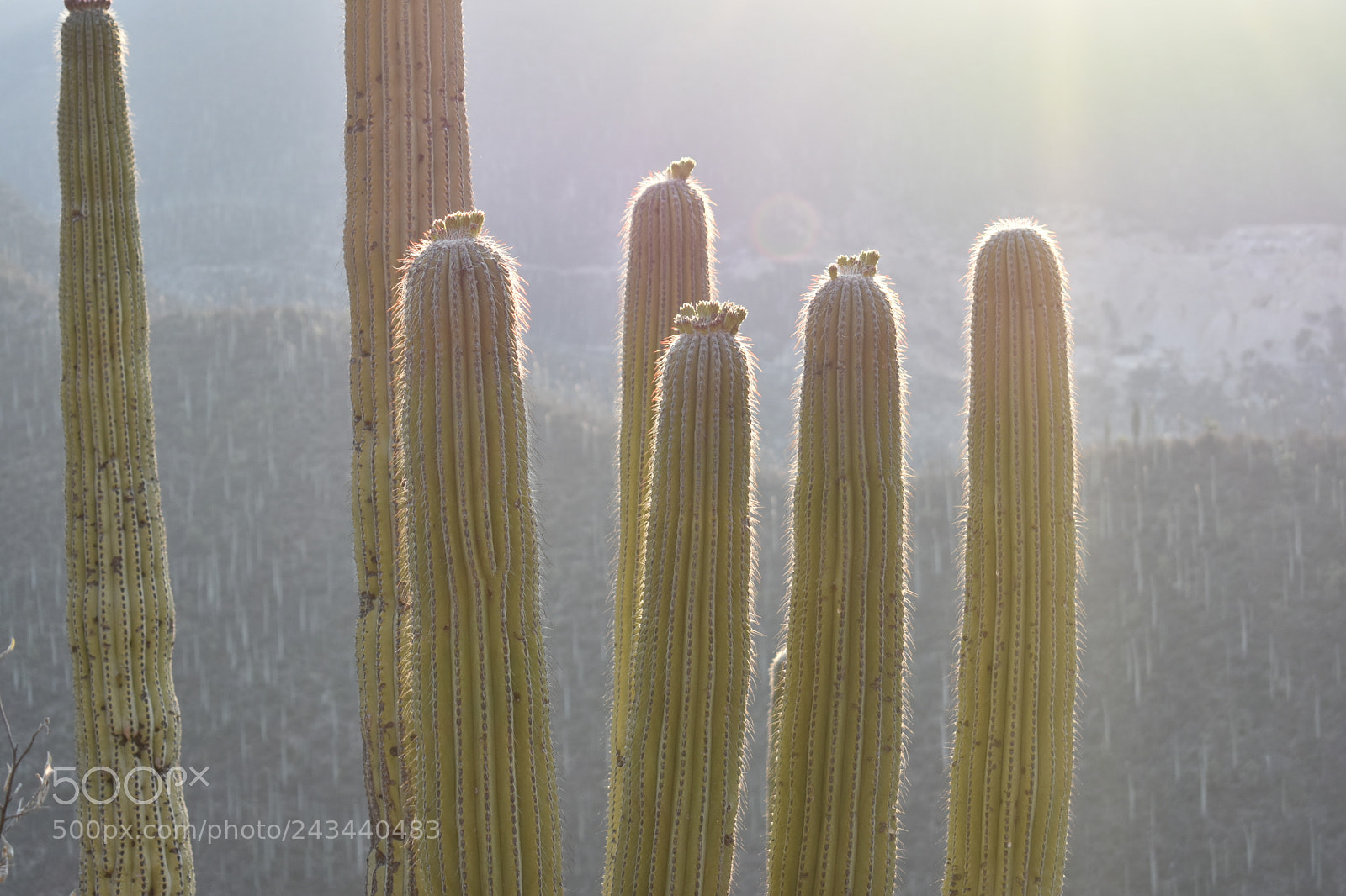 Nikon D3400 sample photo. Luz de amanecer photography