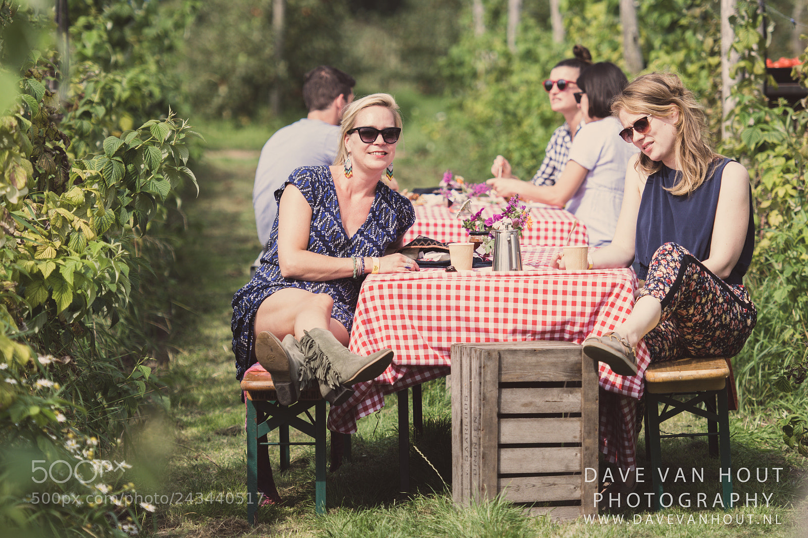 Nikon D500 sample photo. Festival the brave photography