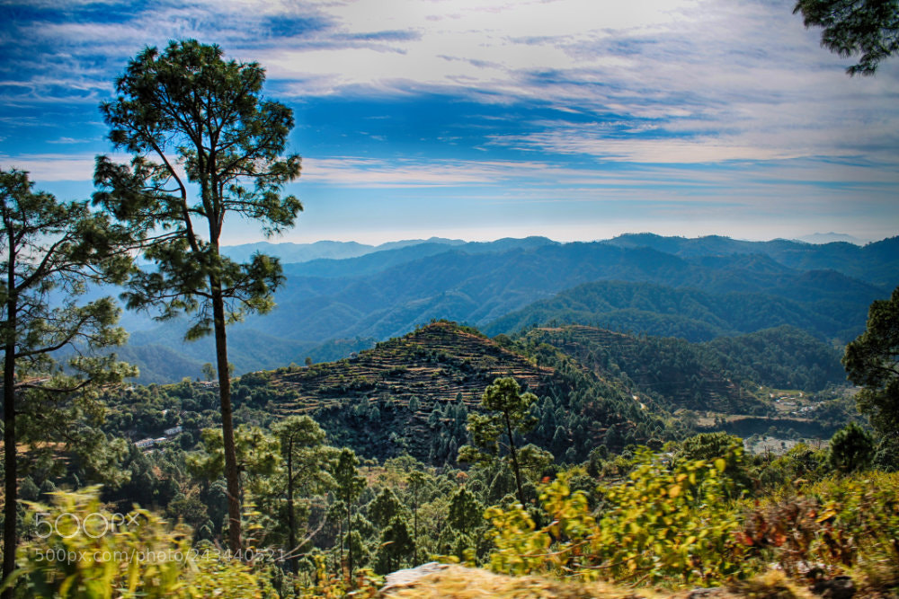 Canon EOS 1100D (EOS Rebel T3 / EOS Kiss X50) sample photo. Painting by nature photography