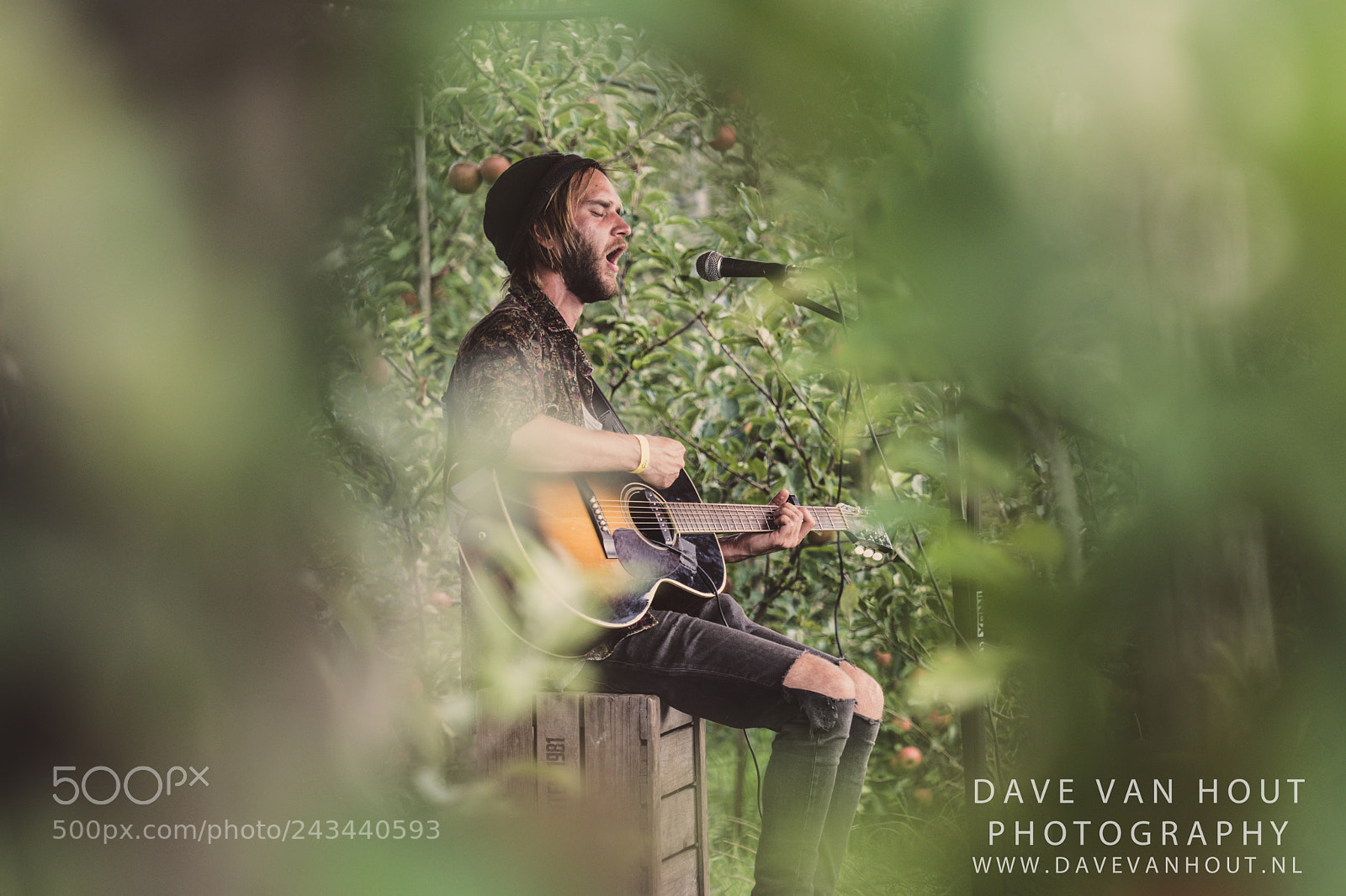 Nikon D500 sample photo. Festival the brave photography