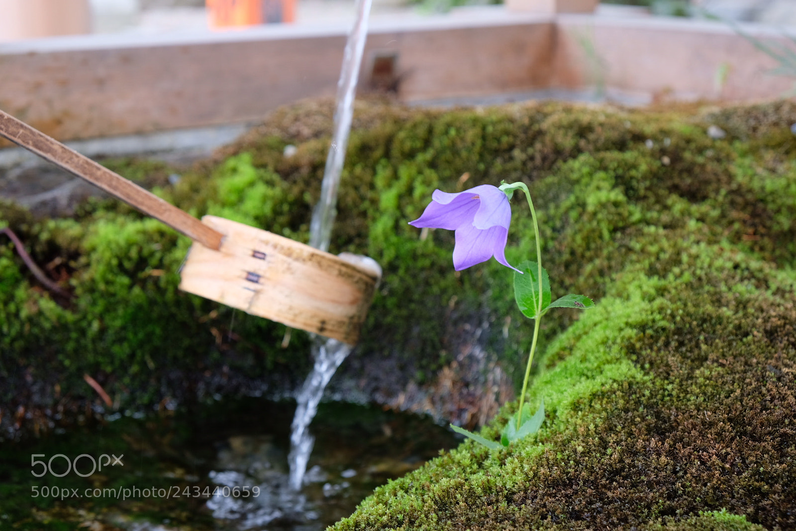 Fujifilm X-T2 sample photo. Untitled photography