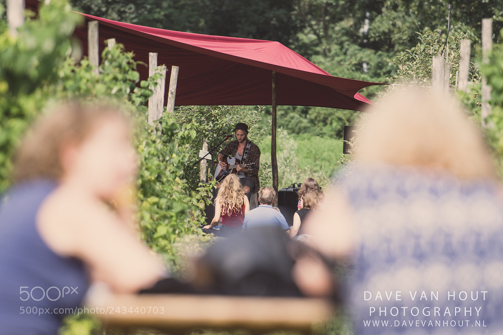 Nikon D500 sample photo. Festival the brave photography