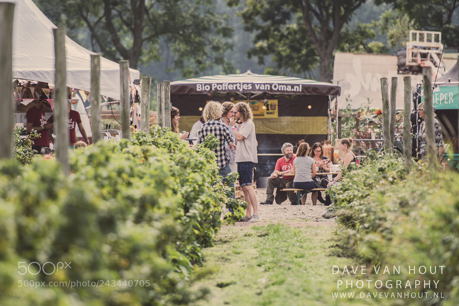 Nikon D500 sample photo. Festival the brave photography