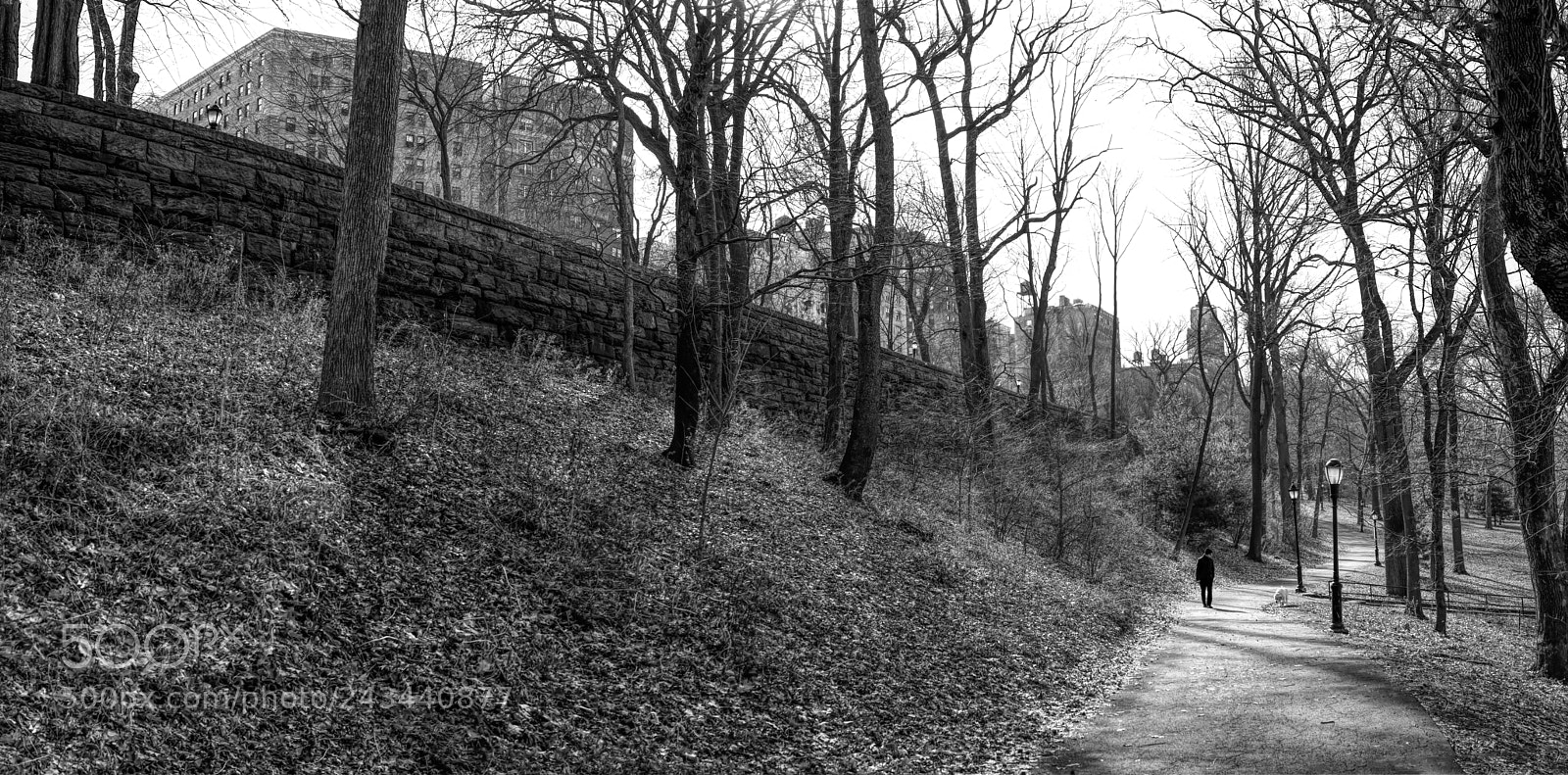 Sony Cyber-shot DSC-RX1R II sample photo. Riverside park path photography