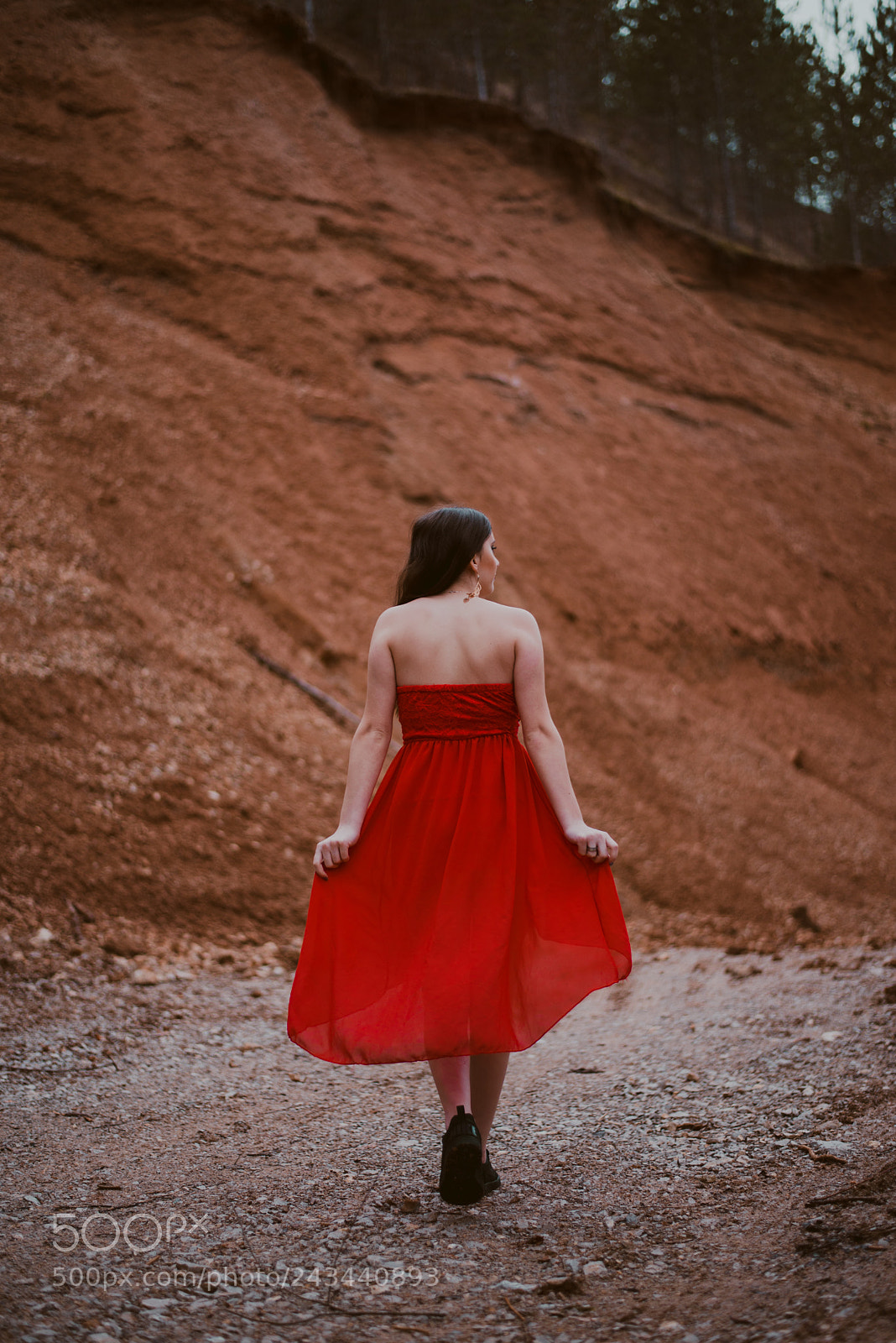 Nikon D610 sample photo. Portrait of a red photography