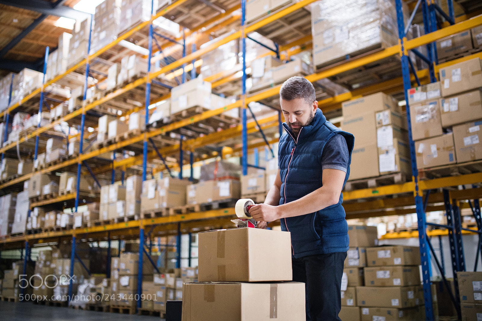 Nikon D5 sample photo. Male warehouse worker sealing photography