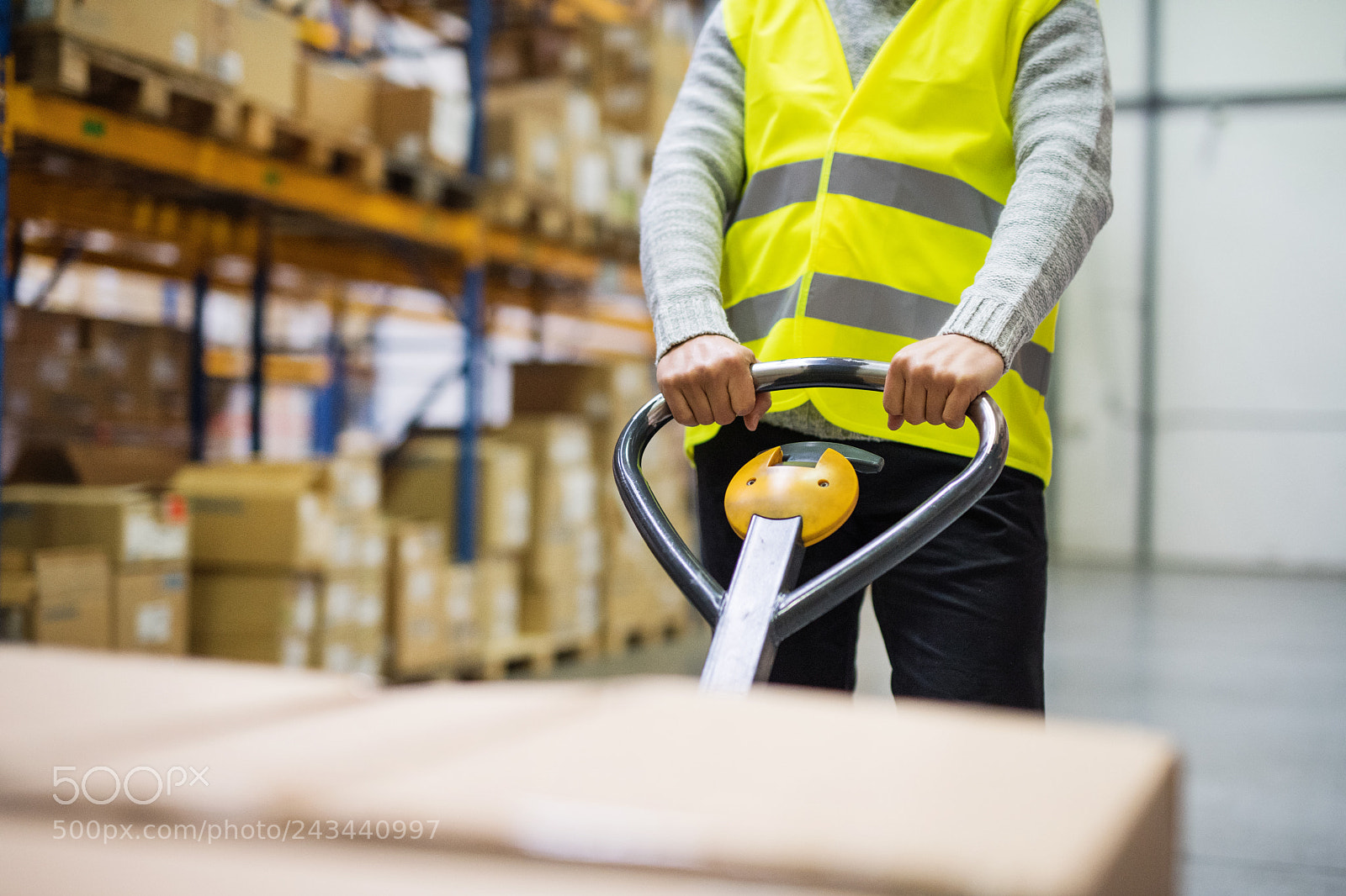 Nikon D5 sample photo. Male warehouse worker pulling photography