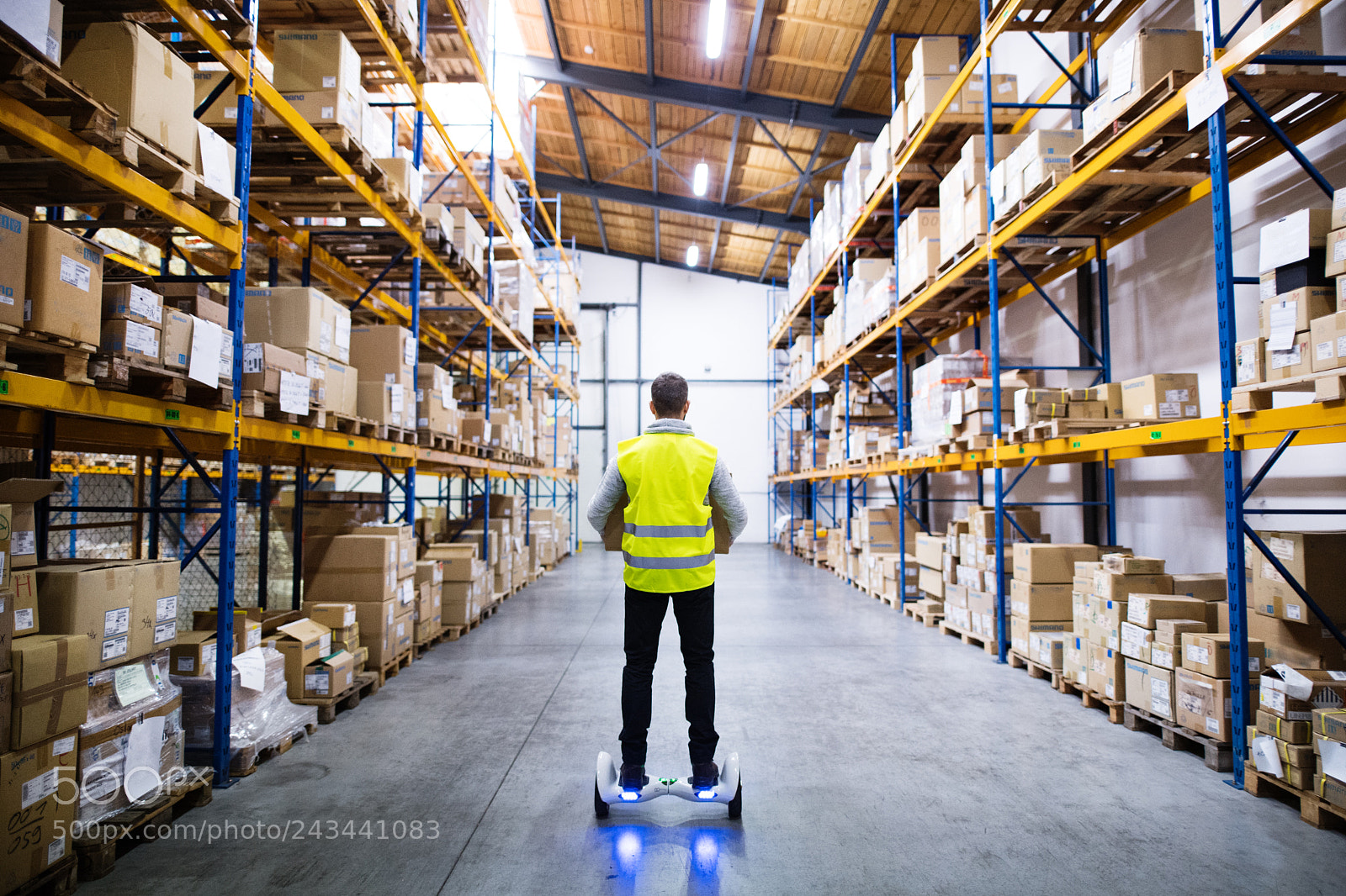 Nikon D5 sample photo. Male warehouse worker on photography