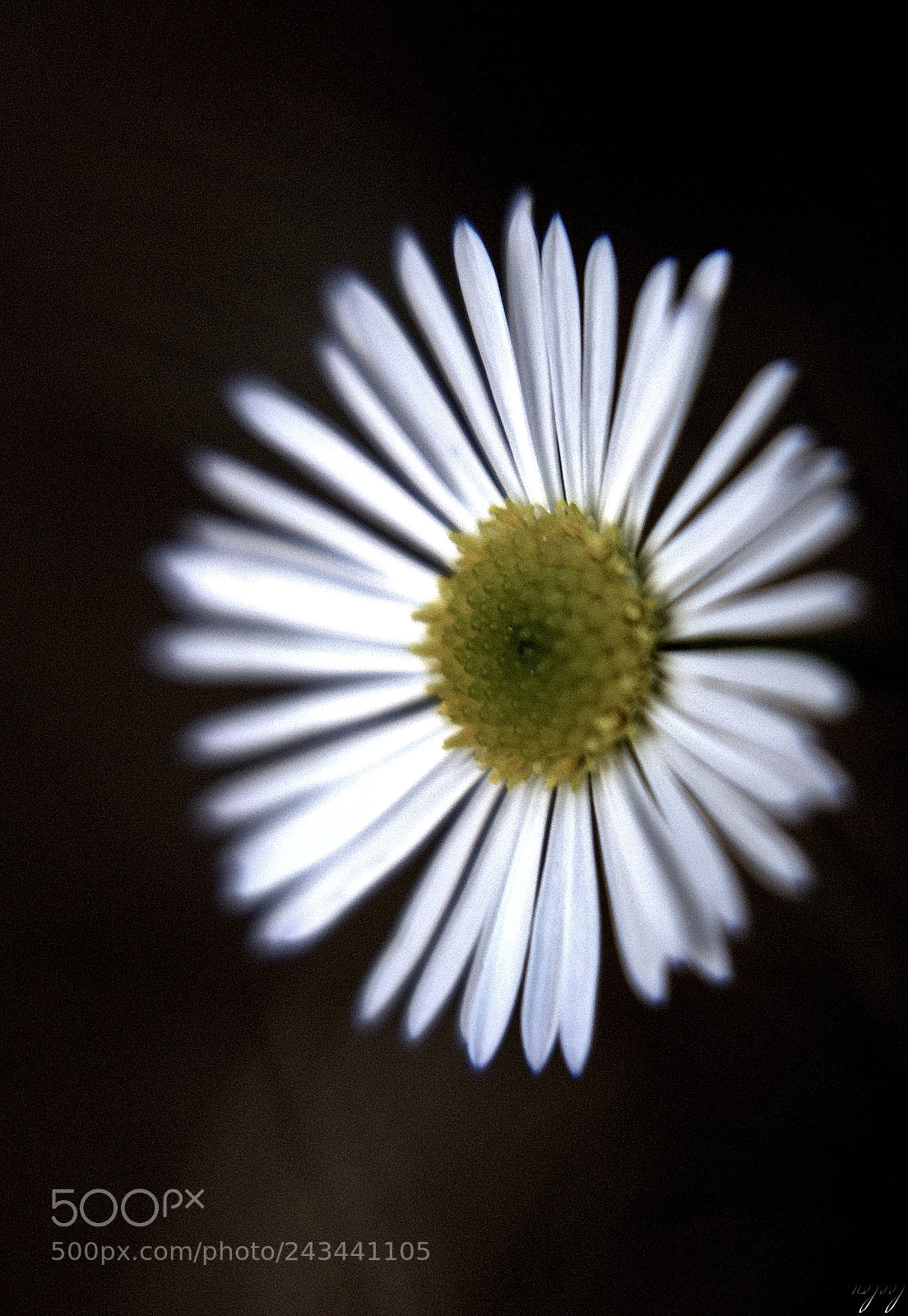 Nikon D3100 sample photo. I am in the photography