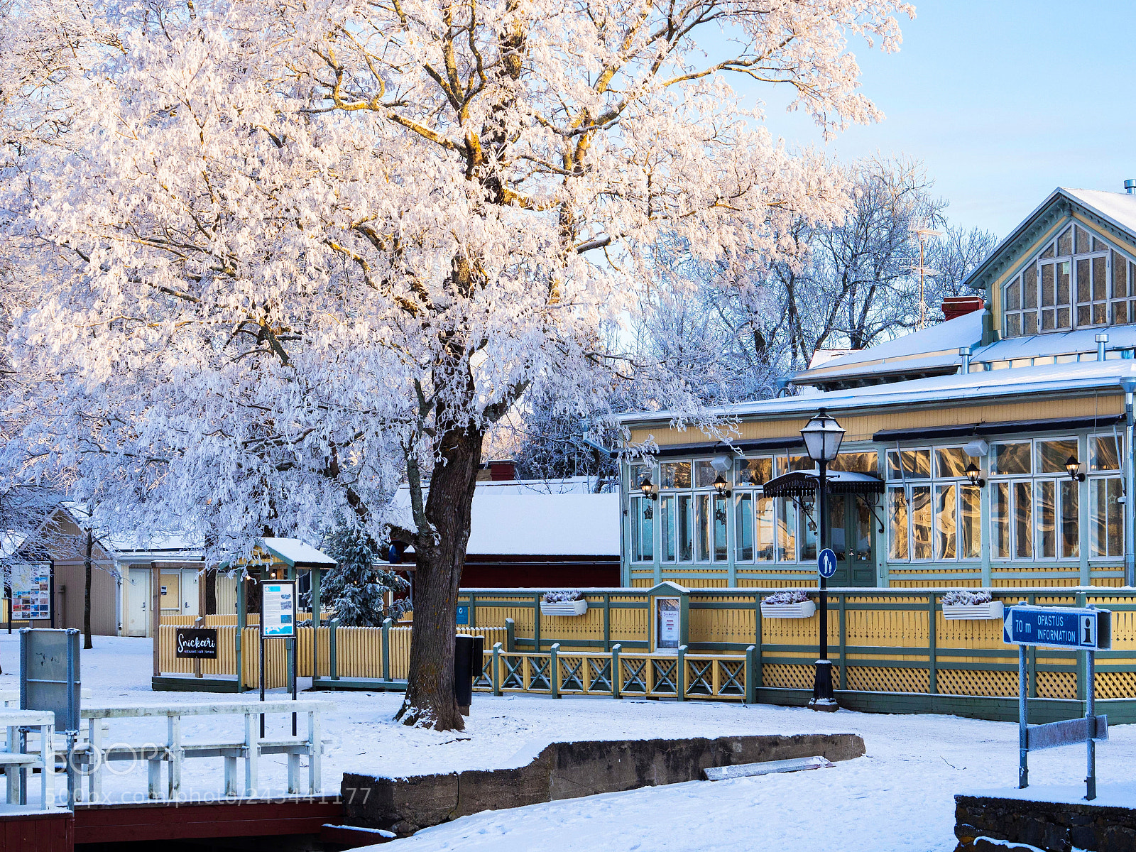 Olympus OM-D E-M1 Mark II sample photo. Finally, the winter has photography