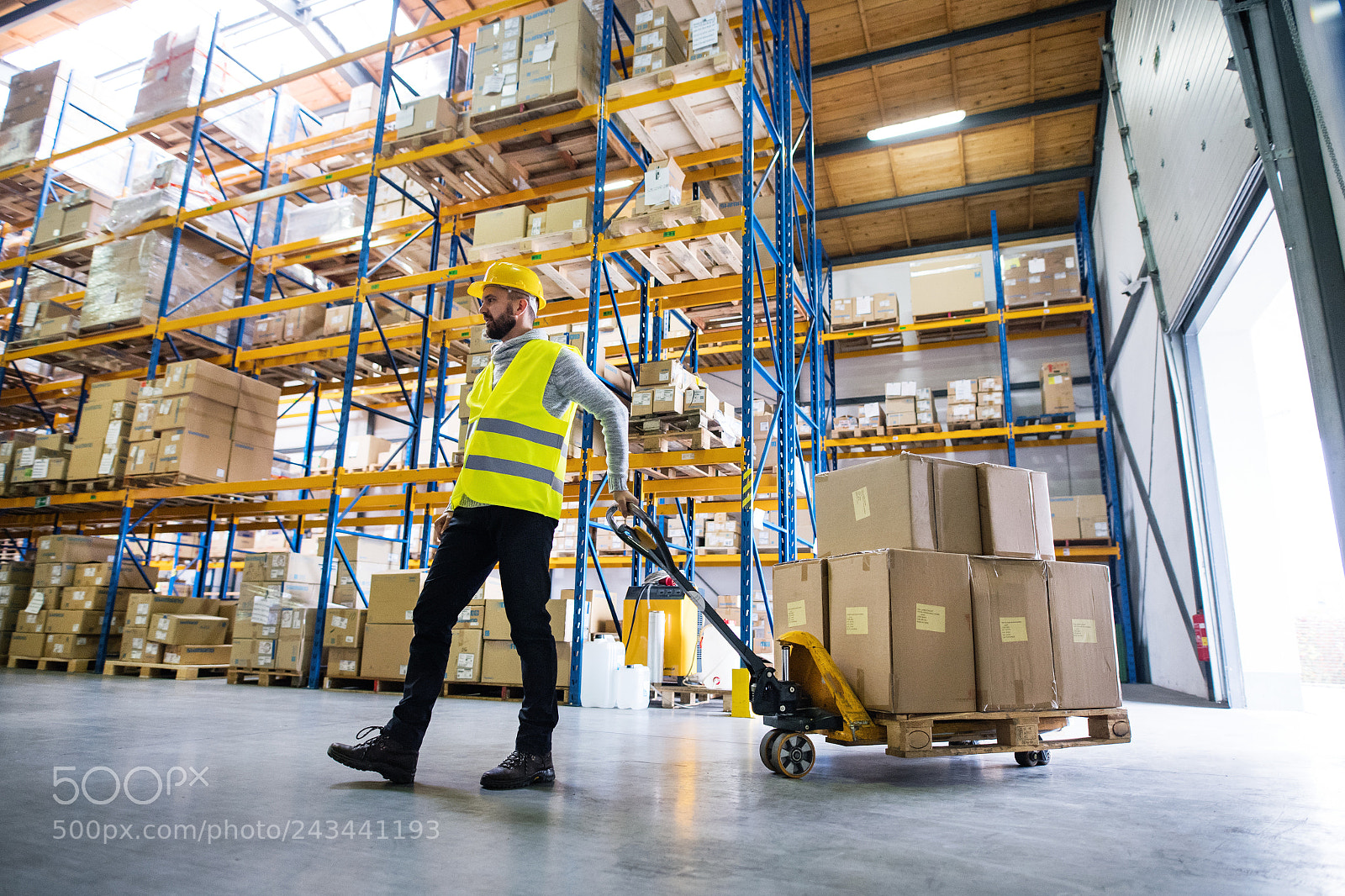 Nikon D5 sample photo. Male warehouse worker pulling photography