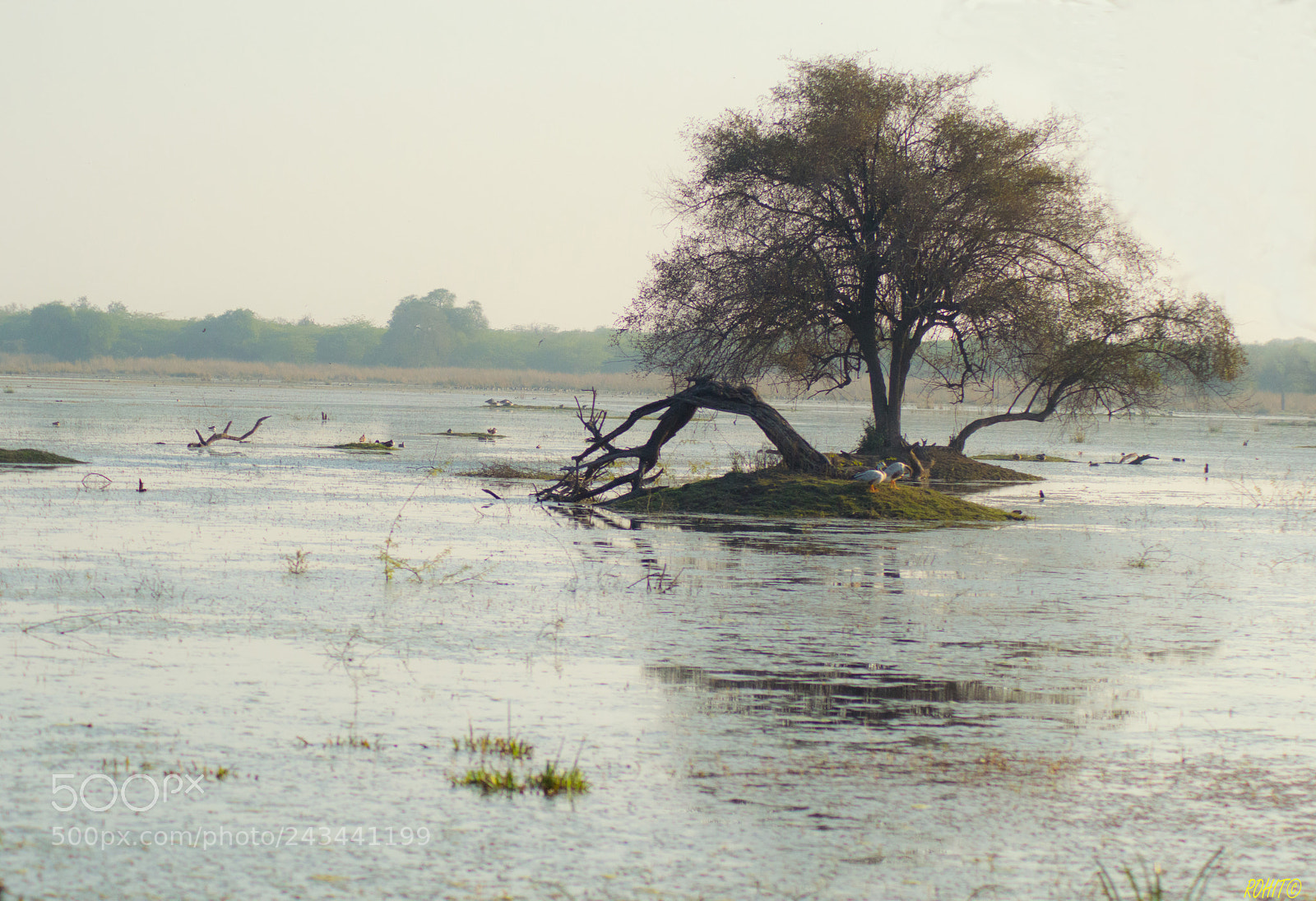 Nikon D3200 sample photo. Island photography