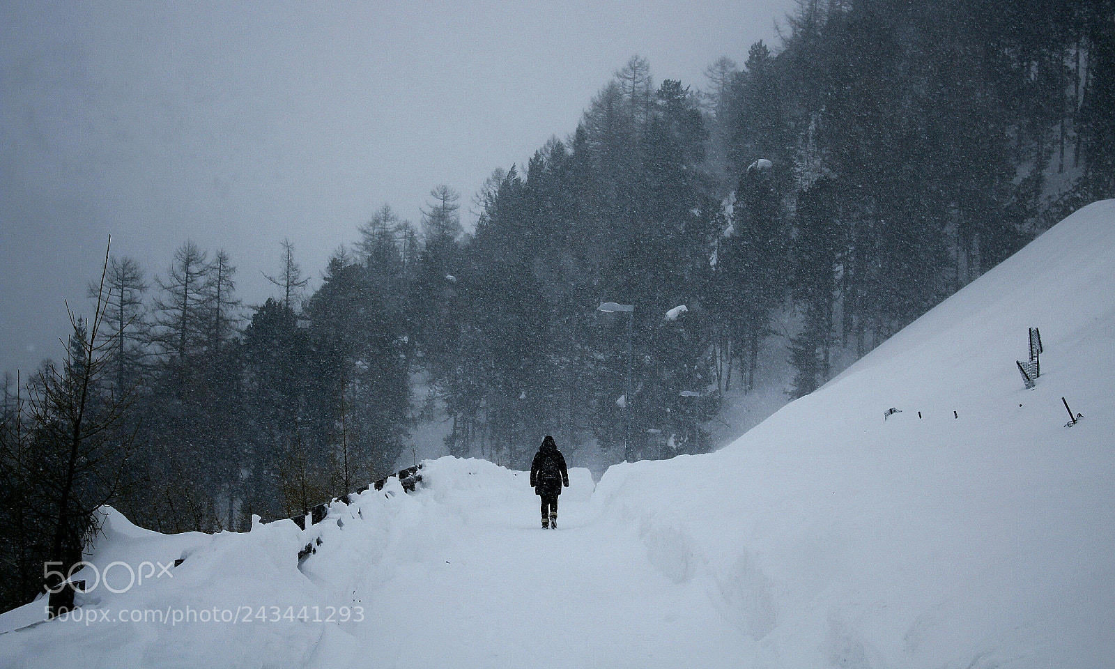 Canon EOS 1200D (EOS Rebel T5 / EOS Kiss X70 / EOS Hi) sample photo. Snow storm photography