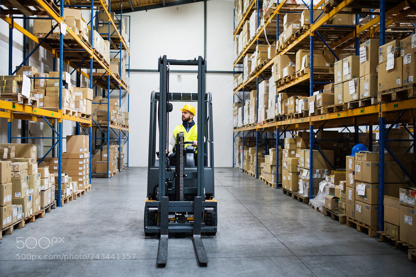 Nikon D5 sample photo. Warehouse man worker with photography