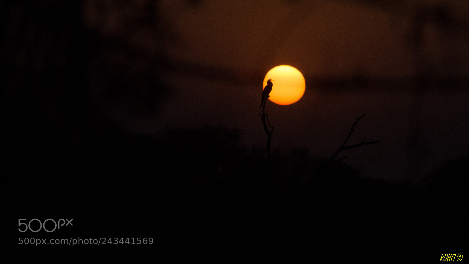 Nikon D3200 sample photo. Silhouette photography