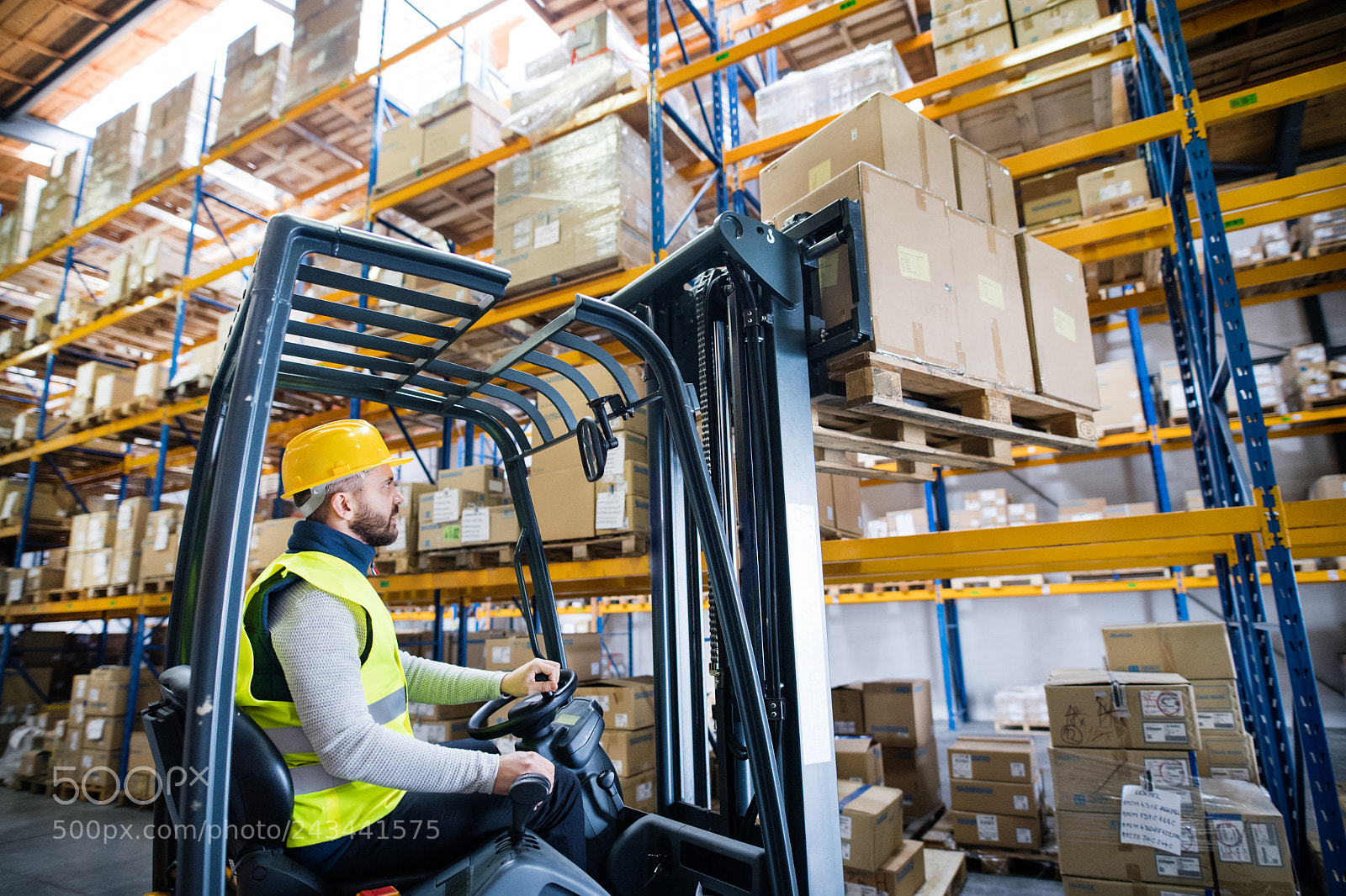 Nikon D5 sample photo. Warehouse man worker with photography