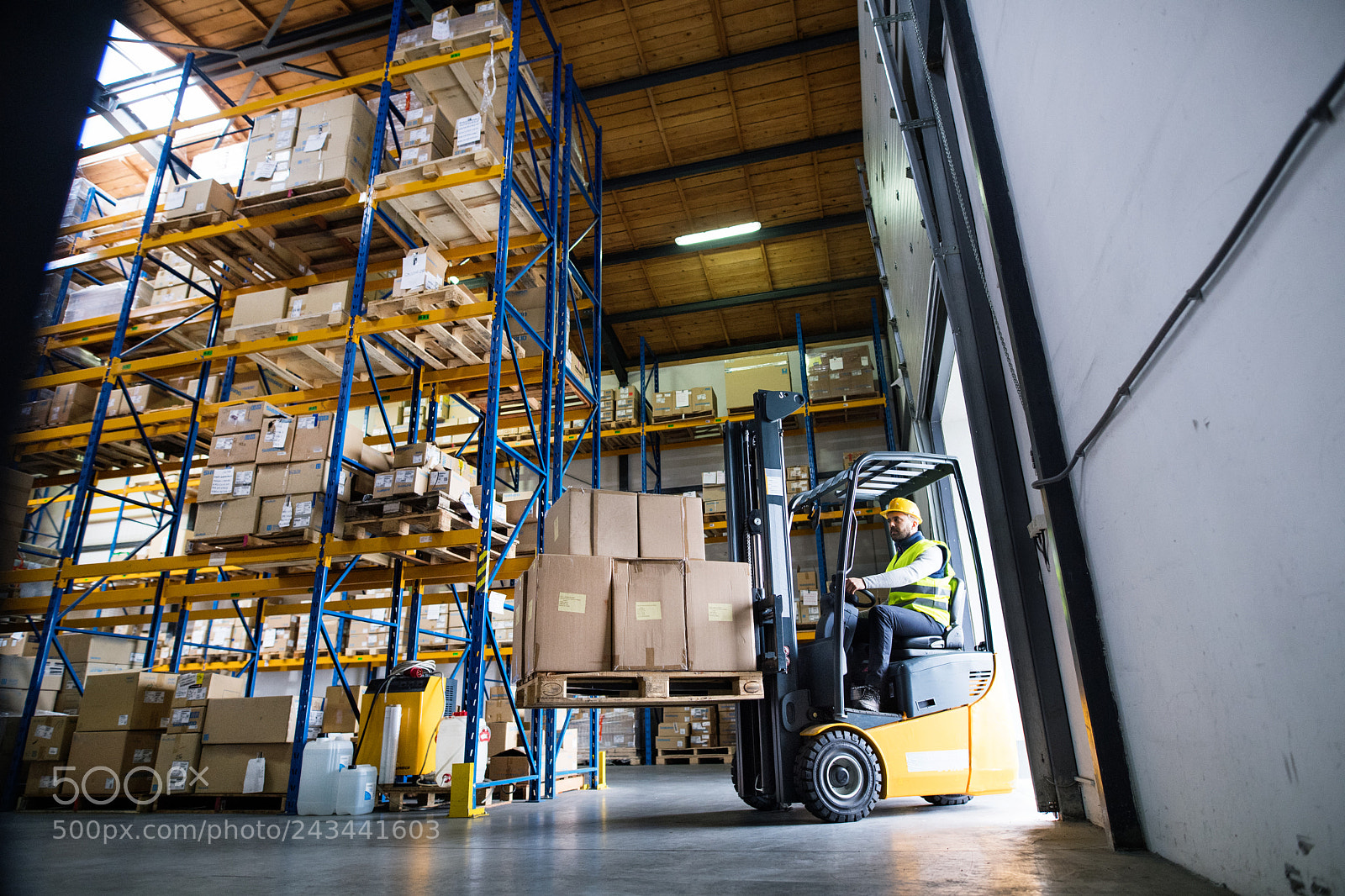Nikon D5 sample photo. Warehouse man worker with photography
