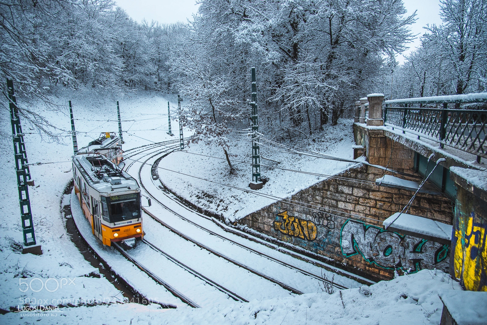 Nikon D610 sample photo. Budapest tram in the photography