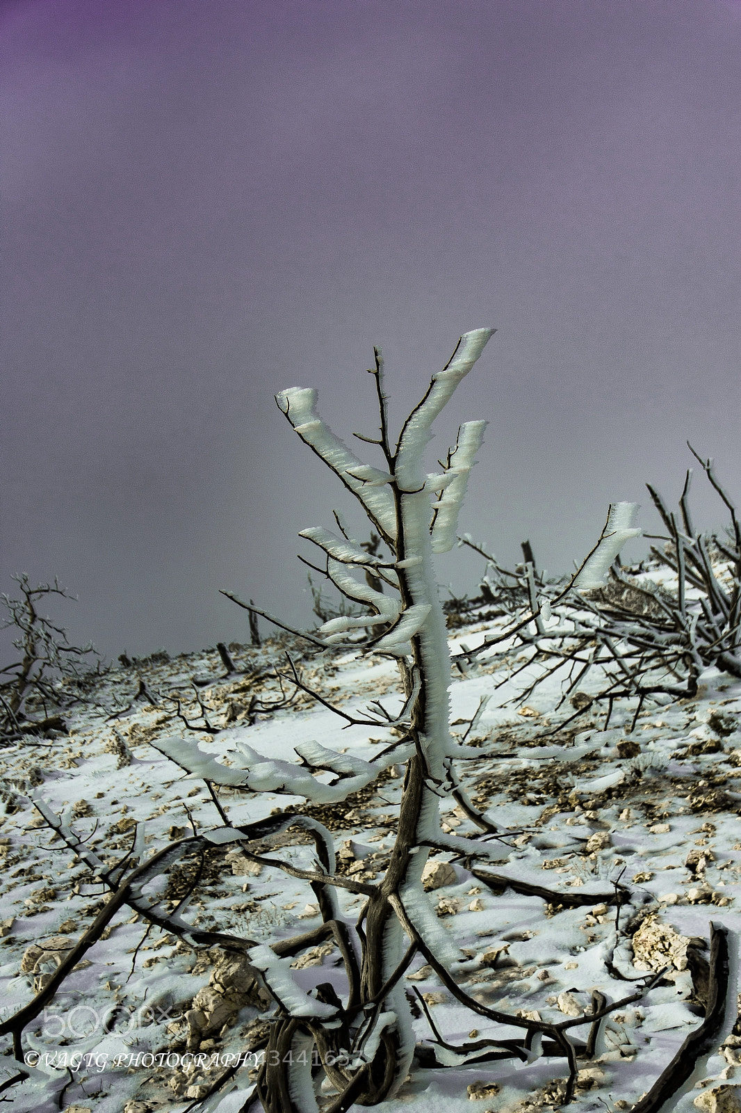 Nikon D3400 sample photo. Snowy scenery on mount photography