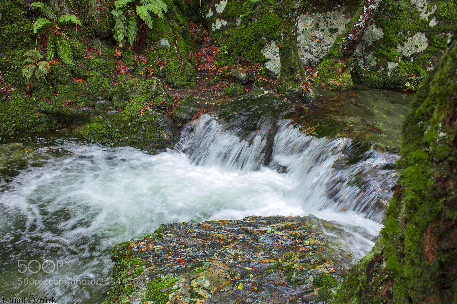 Canon EOS 60D sample photo. Water landscape photography