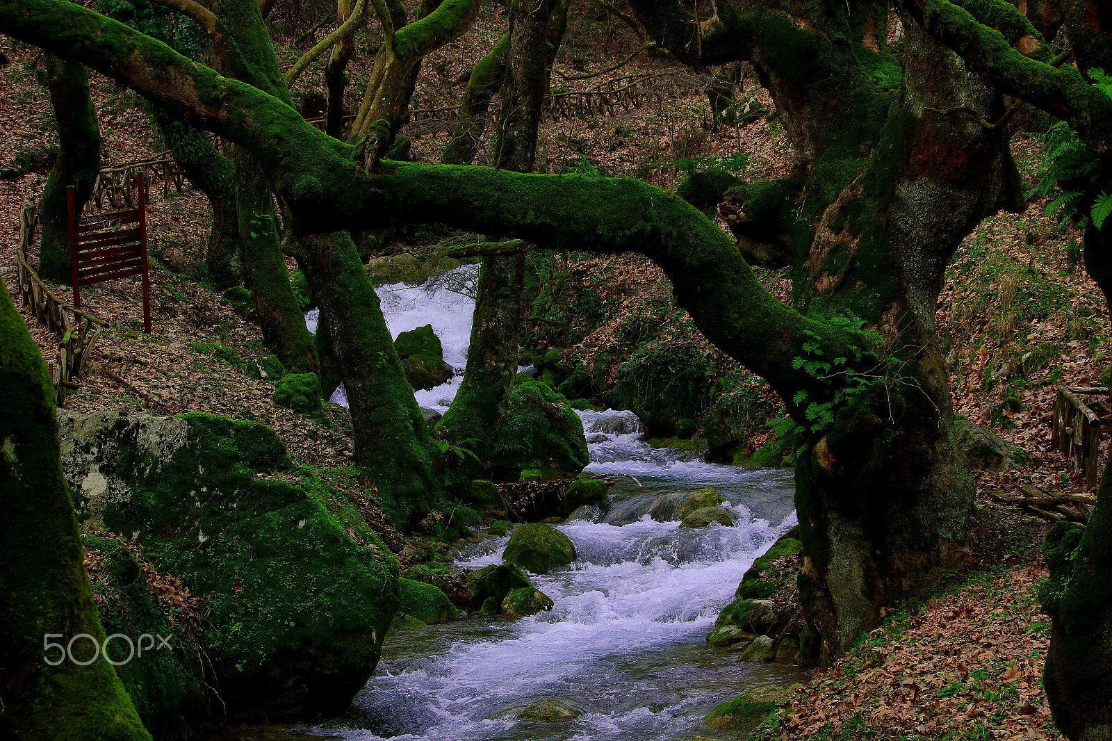 Canon EF-S 55-250mm F4-5.6 IS II sample photo. Old station photography