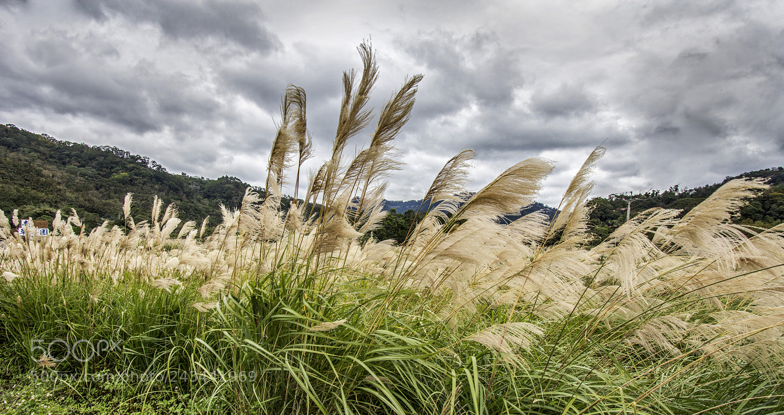 Canon EOS 60D sample photo. Gone with the wind photography
