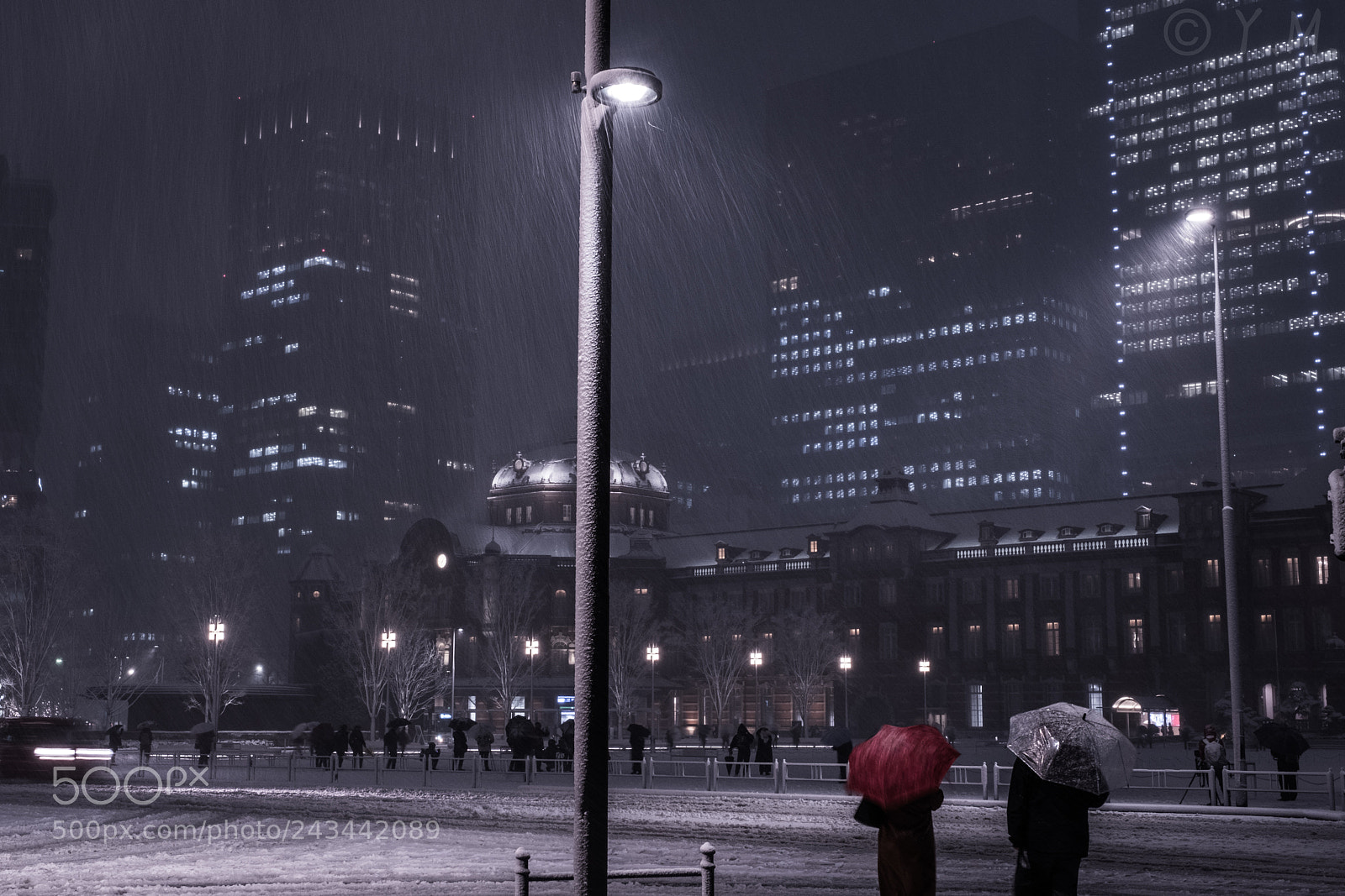 Fujifilm X-T2 sample photo. Snow tokyo photography