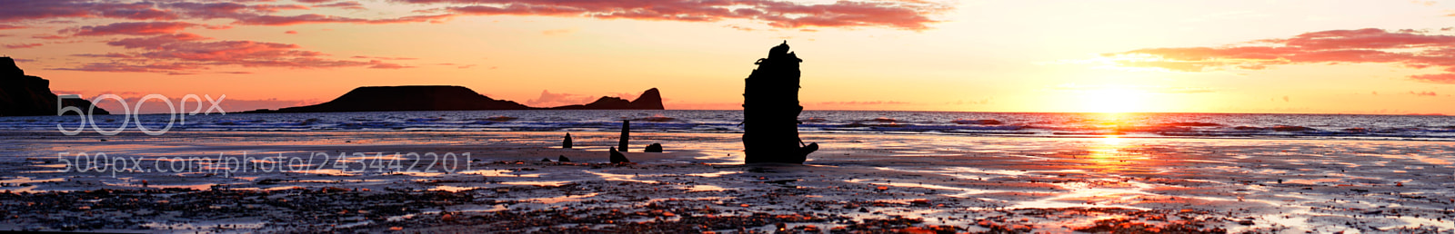 Sony ILCA-77M2 sample photo. Gower worm's head photography